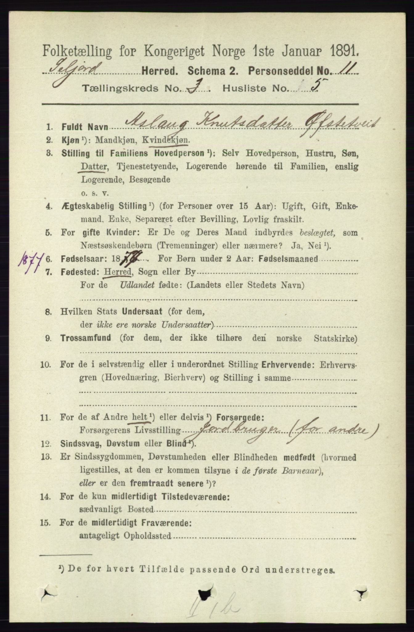 RA, 1891 census for 0828 Seljord, 1891, p. 1008