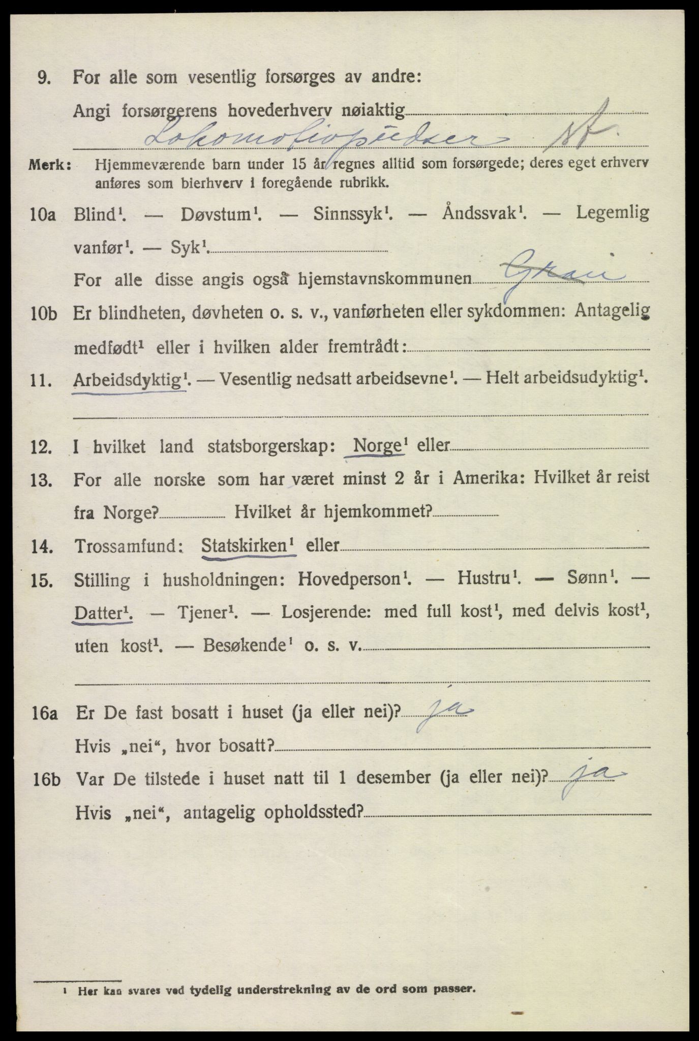 SAH, 1920 census for Gran, 1920, p. 1719