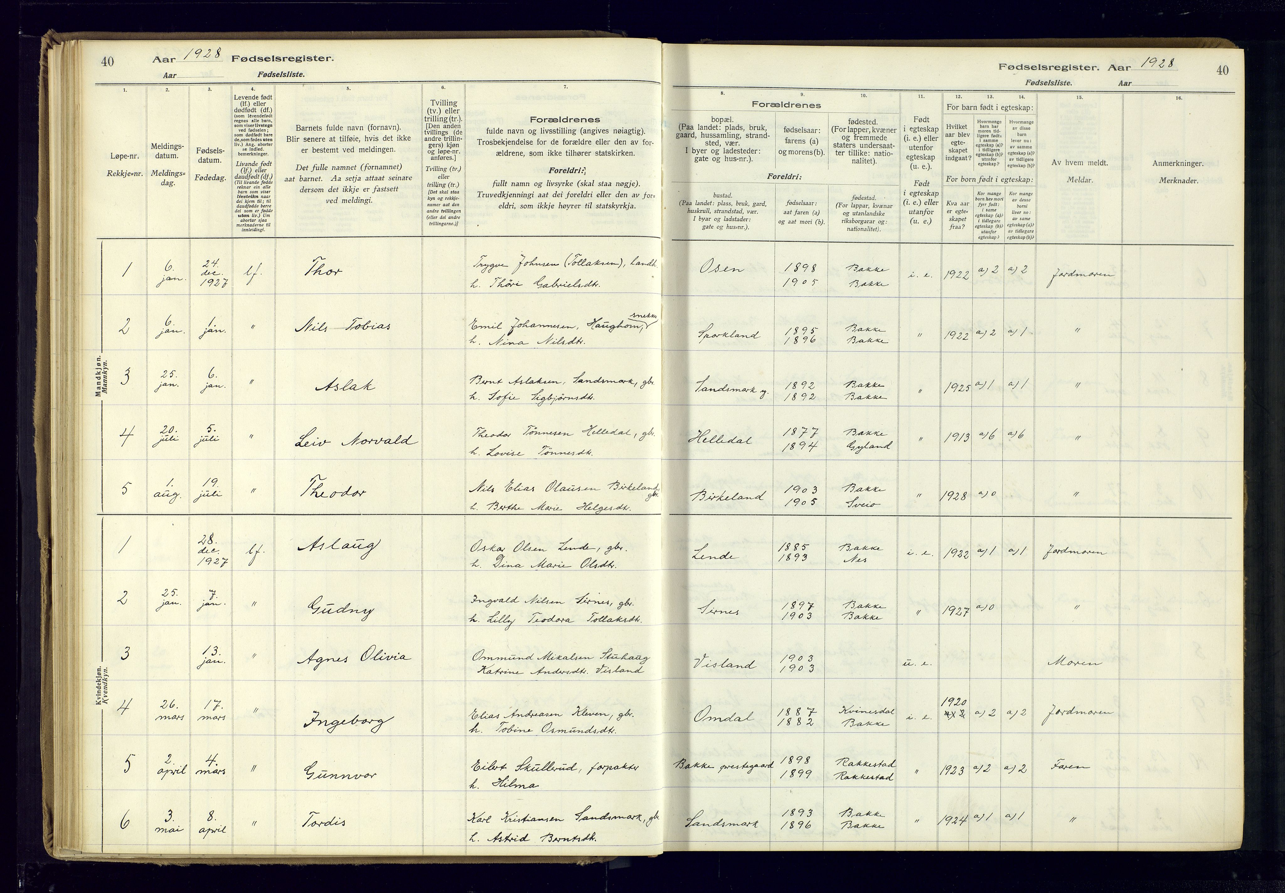 Bakke sokneprestkontor, SAK/1111-0002/J/Ja/L0001: Birth register no. A-VI-18, 1916-1982, p. 40
