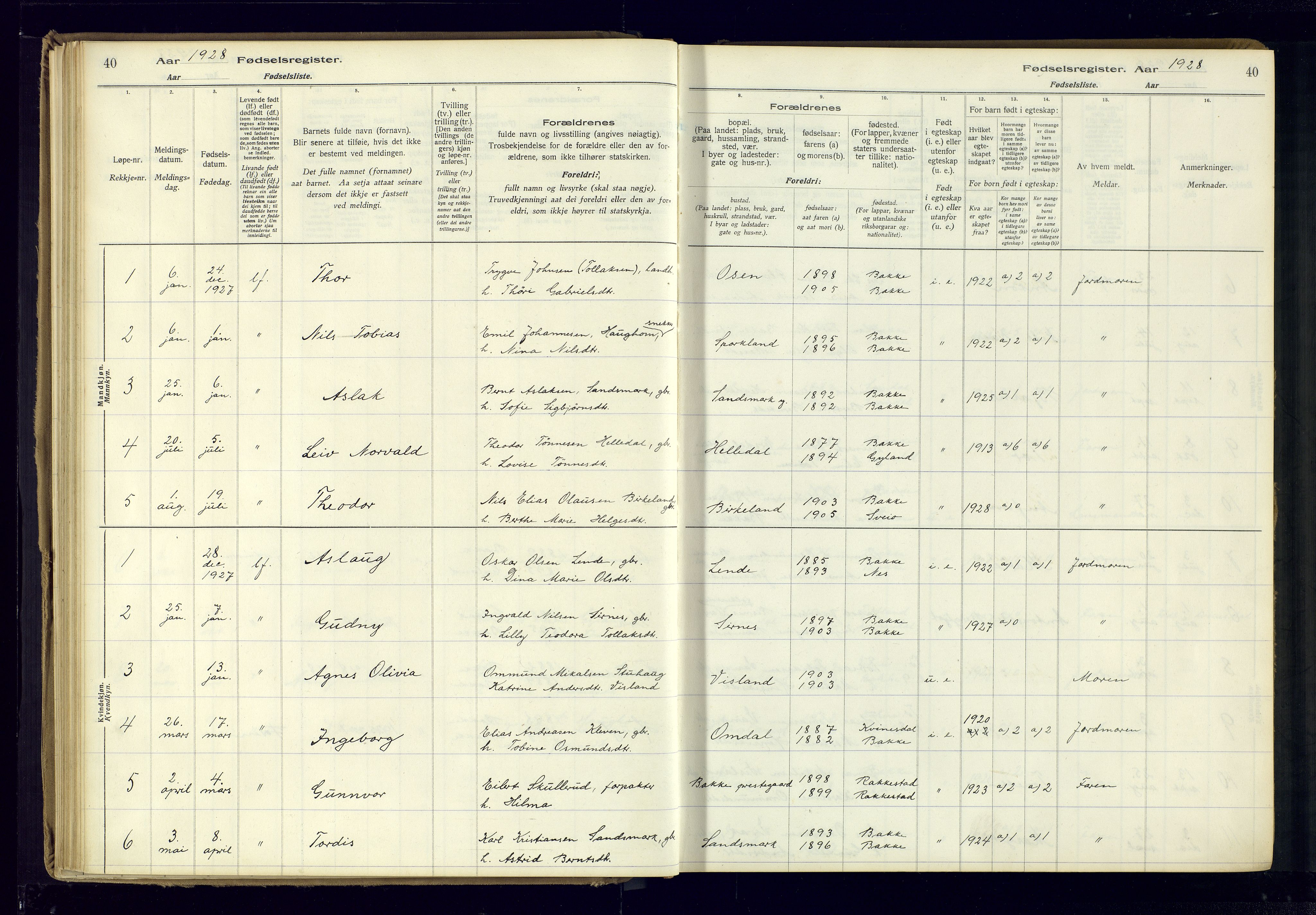 Bakke sokneprestkontor, AV/SAK-1111-0002/J/Ja/L0001: Birth register no. A-VI-18, 1916-1982, p. 40