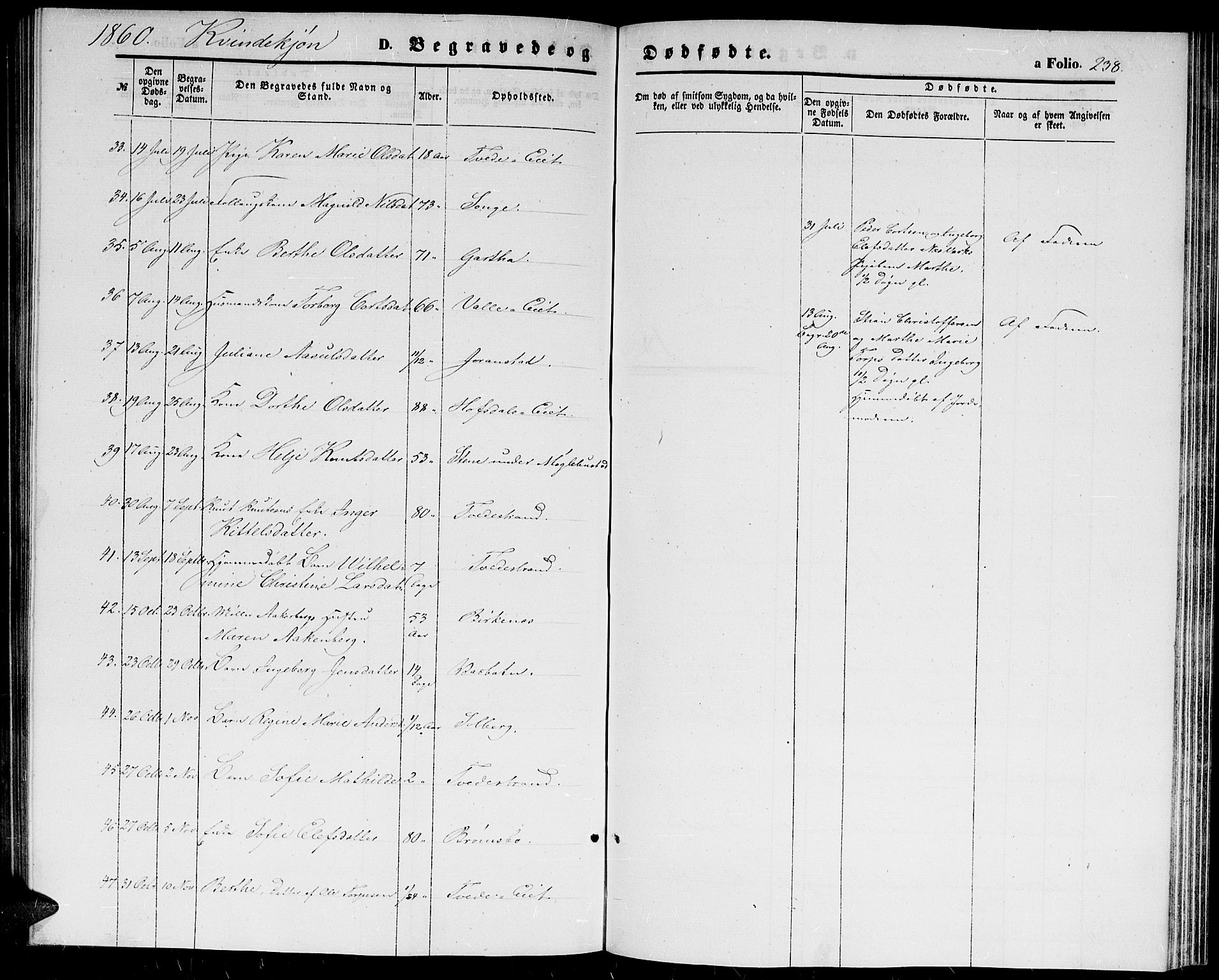 Holt sokneprestkontor, AV/SAK-1111-0021/F/Fb/L0008: Parish register (copy) no. B 8, 1858-1871, p. 238