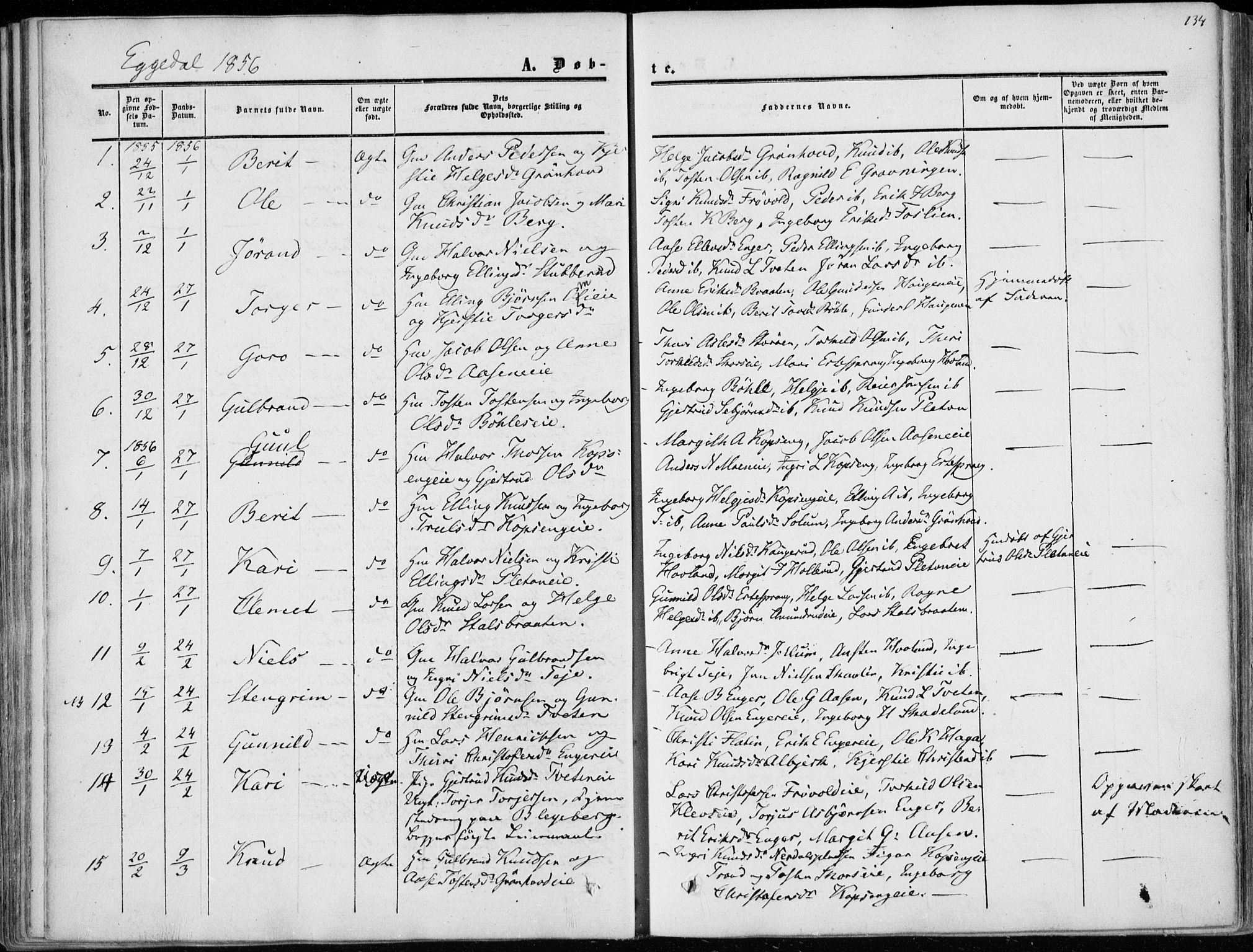 Sigdal kirkebøker, SAKO/A-245/F/Fa/L0008: Parish register (official) no. I 8, 1850-1859, p. 134