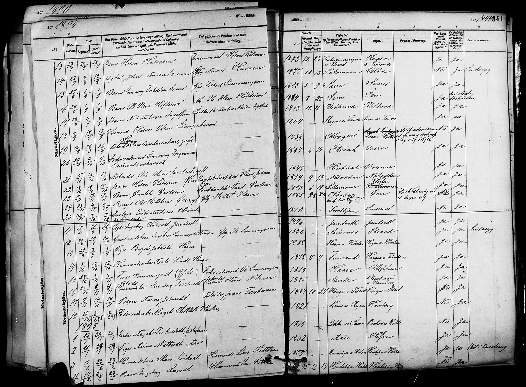 Heddal kirkebøker, SAKO/A-268/F/Fa/L0008: Parish register (official) no. I 8, 1878-1903, p. 341