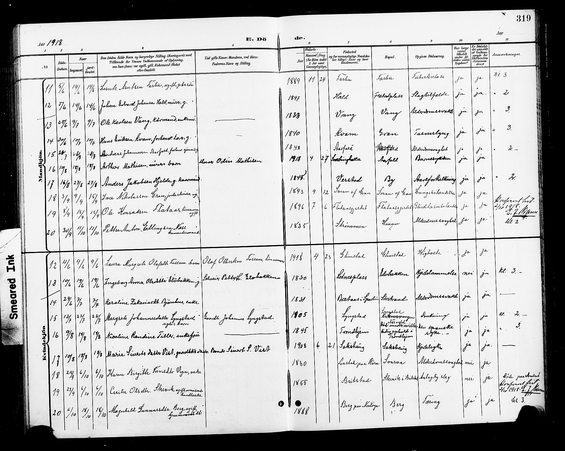 Ministerialprotokoller, klokkerbøker og fødselsregistre - Nord-Trøndelag, AV/SAT-A-1458/730/L0302: Parish register (copy) no. 730C05, 1898-1924, p. 319