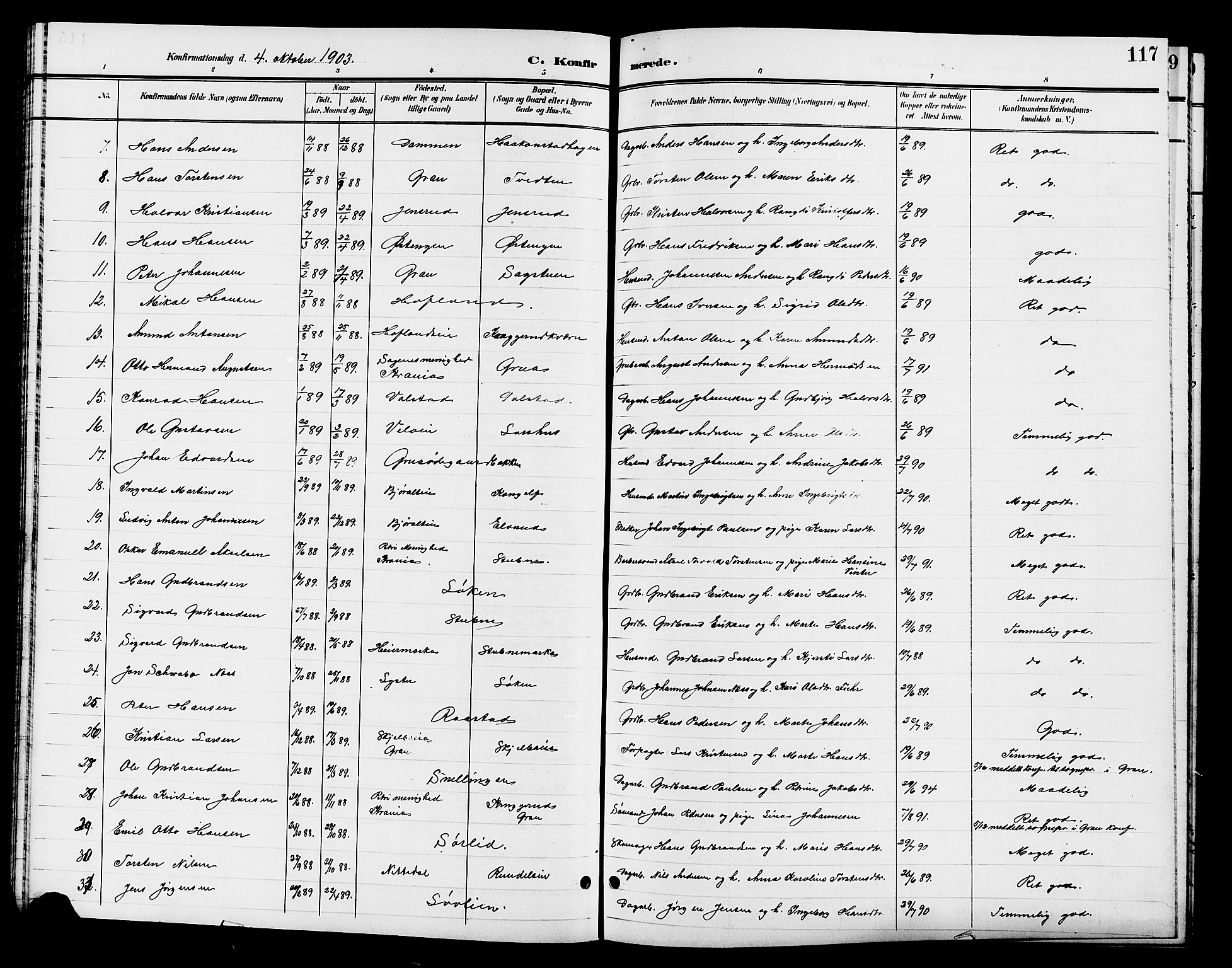 Jevnaker prestekontor, SAH/PREST-116/H/Ha/Hab/L0003: Parish register (copy) no. 3, 1896-1909, p. 117