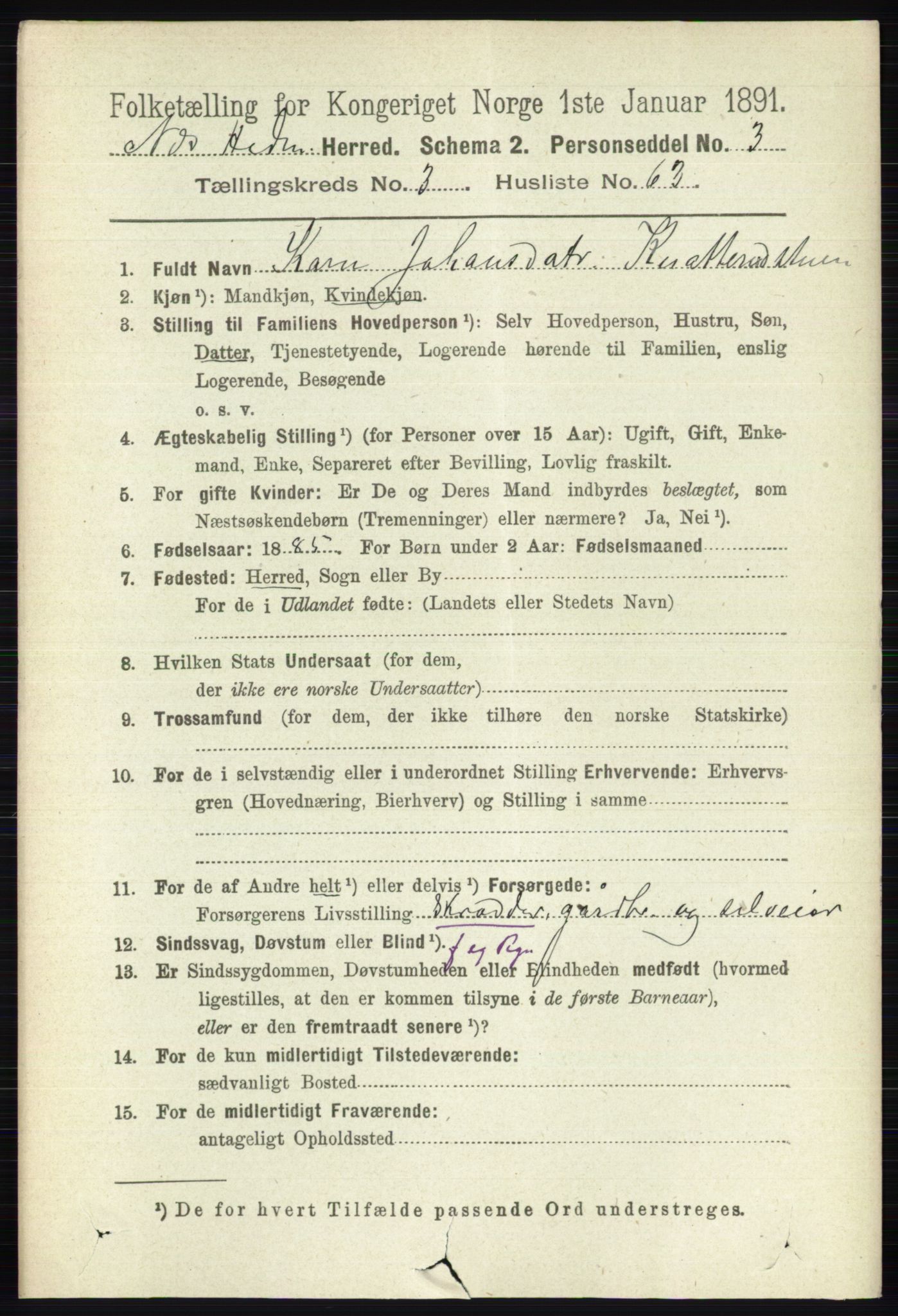 RA, 1891 census for 0411 Nes, 1891, p. 1947