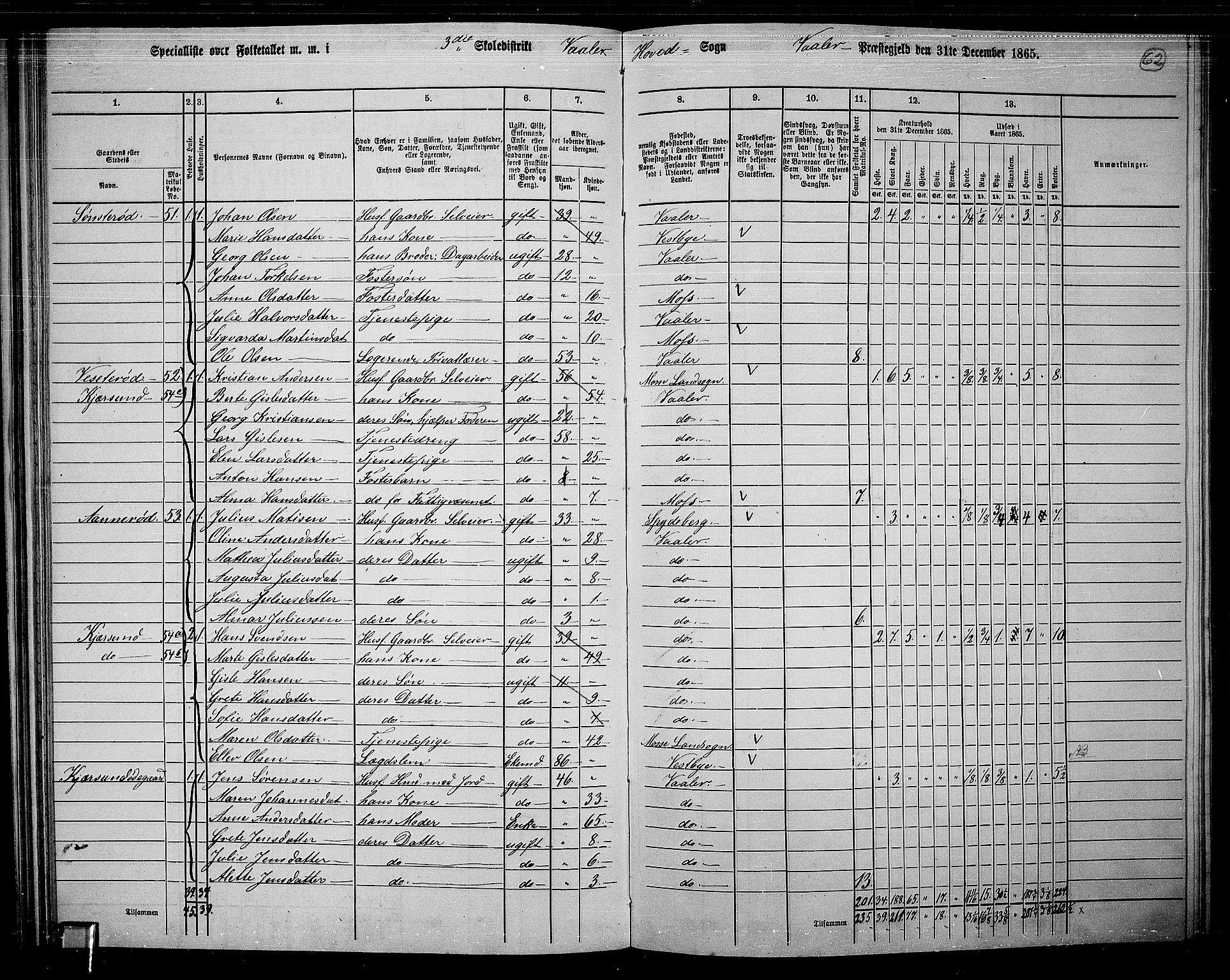 RA, 1865 census for Våler, 1865, p. 57