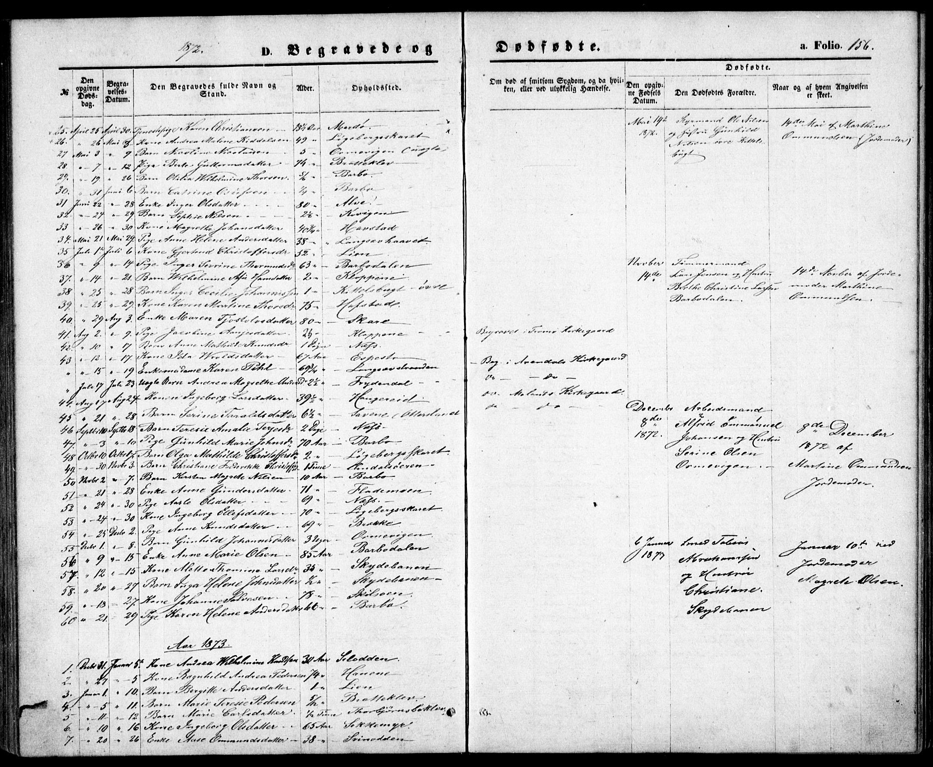 Tromøy sokneprestkontor, AV/SAK-1111-0041/F/Fb/L0004: Parish register (copy) no. B 4, 1869-1877, p. 156