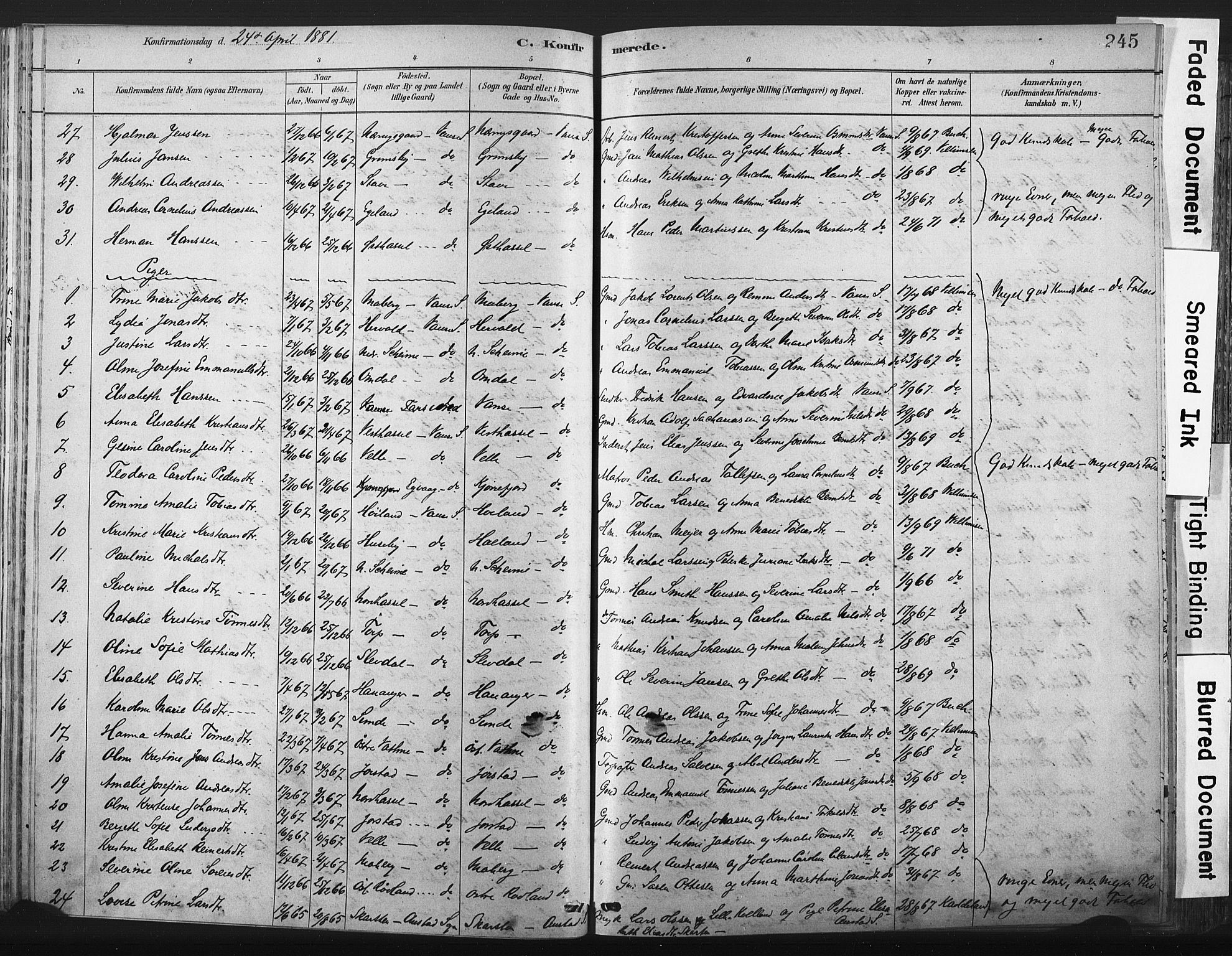 Lista sokneprestkontor, AV/SAK-1111-0027/F/Fa/L0012: Parish register (official) no. A 12, 1879-1903, p. 245