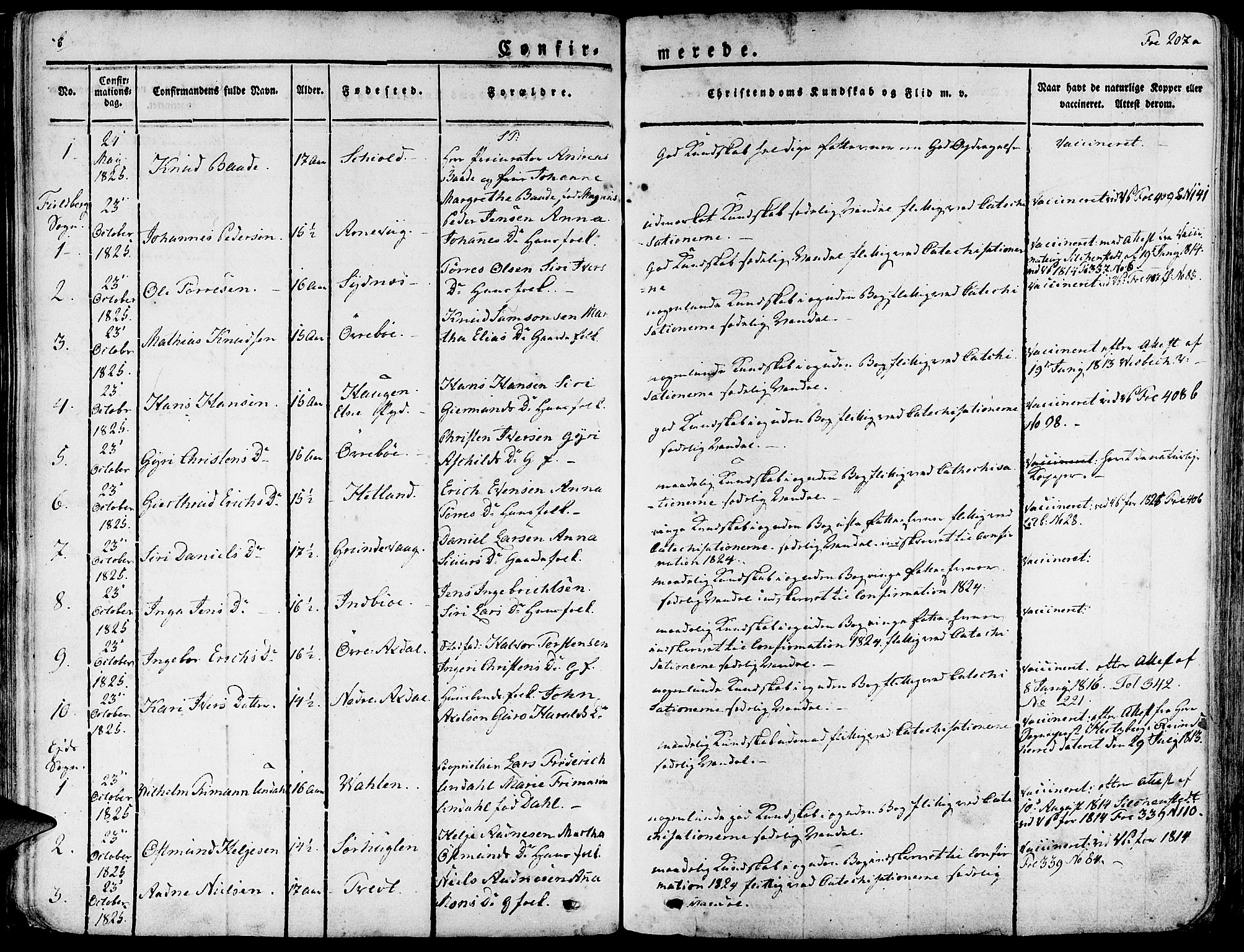 Fjelberg sokneprestembete, SAB/A-75201/H/Haa: Parish register (official) no. A 5, 1822-1834, p. 207