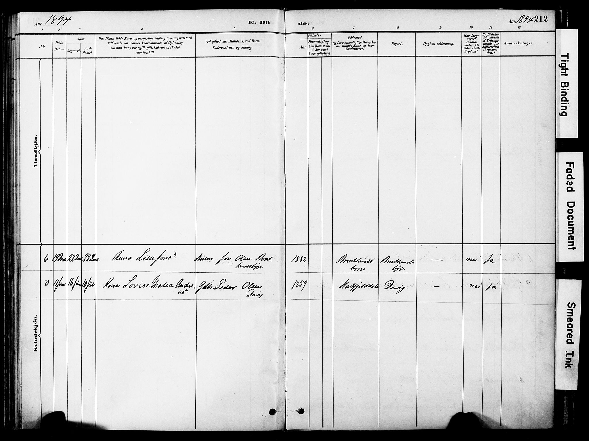 Ministerialprotokoller, klokkerbøker og fødselsregistre - Nord-Trøndelag, SAT/A-1458/755/L0494: Parish register (official) no. 755A03, 1882-1902, p. 212