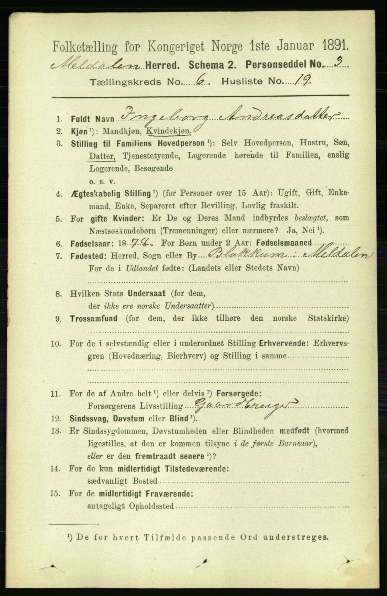 RA, 1891 census for 1636 Meldal, 1891, p. 2988