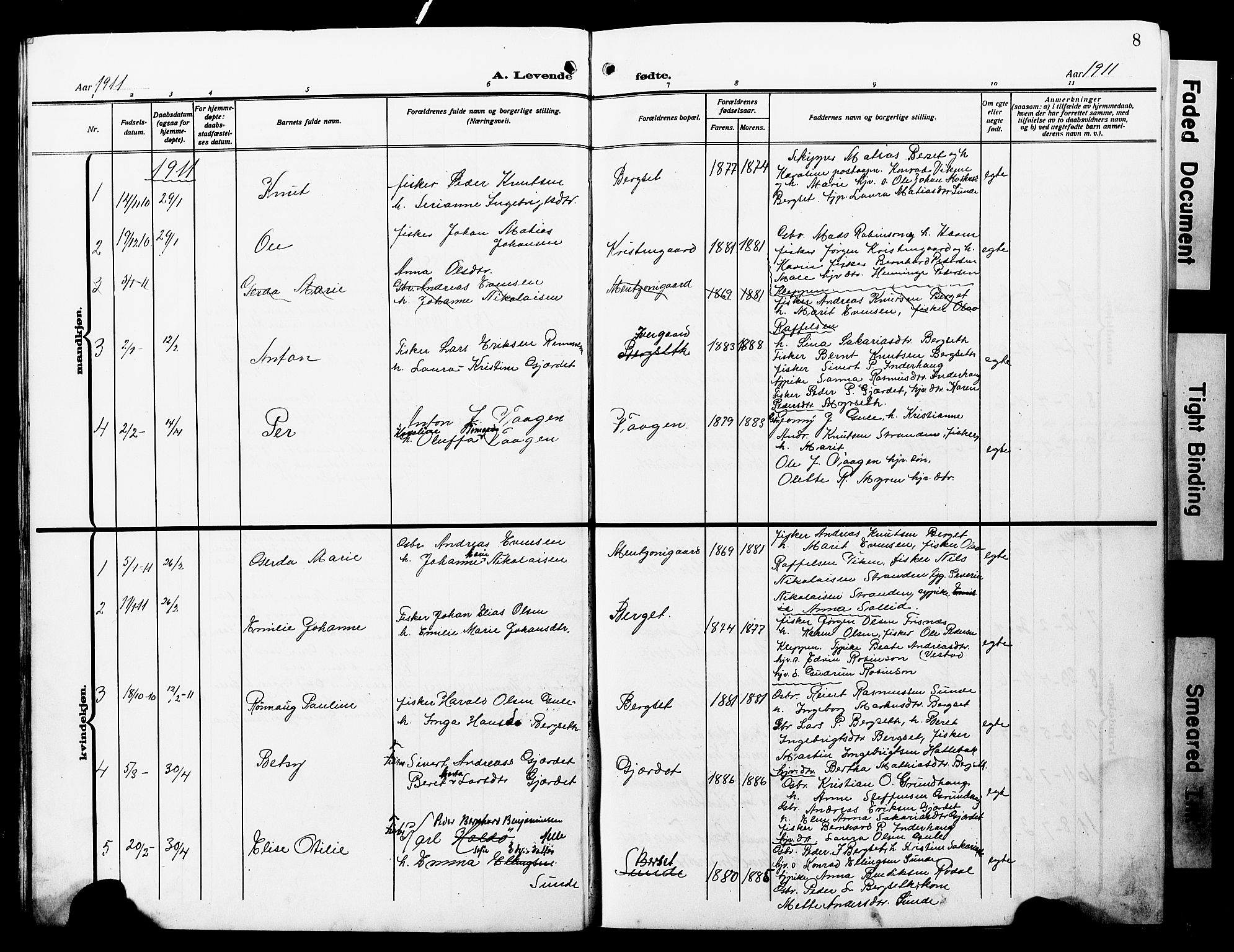 Ministerialprotokoller, klokkerbøker og fødselsregistre - Møre og Romsdal, AV/SAT-A-1454/566/L0774: Parish register (copy) no. 566C03, 1910-1929, p. 8