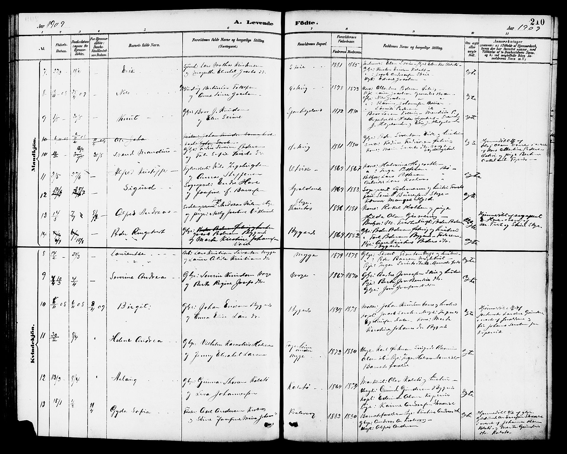 Avaldsnes sokneprestkontor, SAST/A -101851/H/Ha/Hab/L0007: Parish register (copy) no. B 7, 1885-1909, p. 210