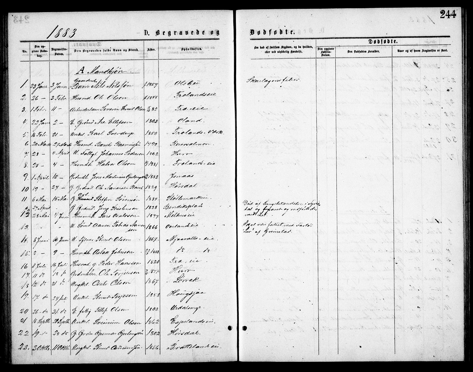 Froland sokneprestkontor, AV/SAK-1111-0013/F/Fb/L0009: Parish register (copy) no. B 9, 1875-1893, p. 244