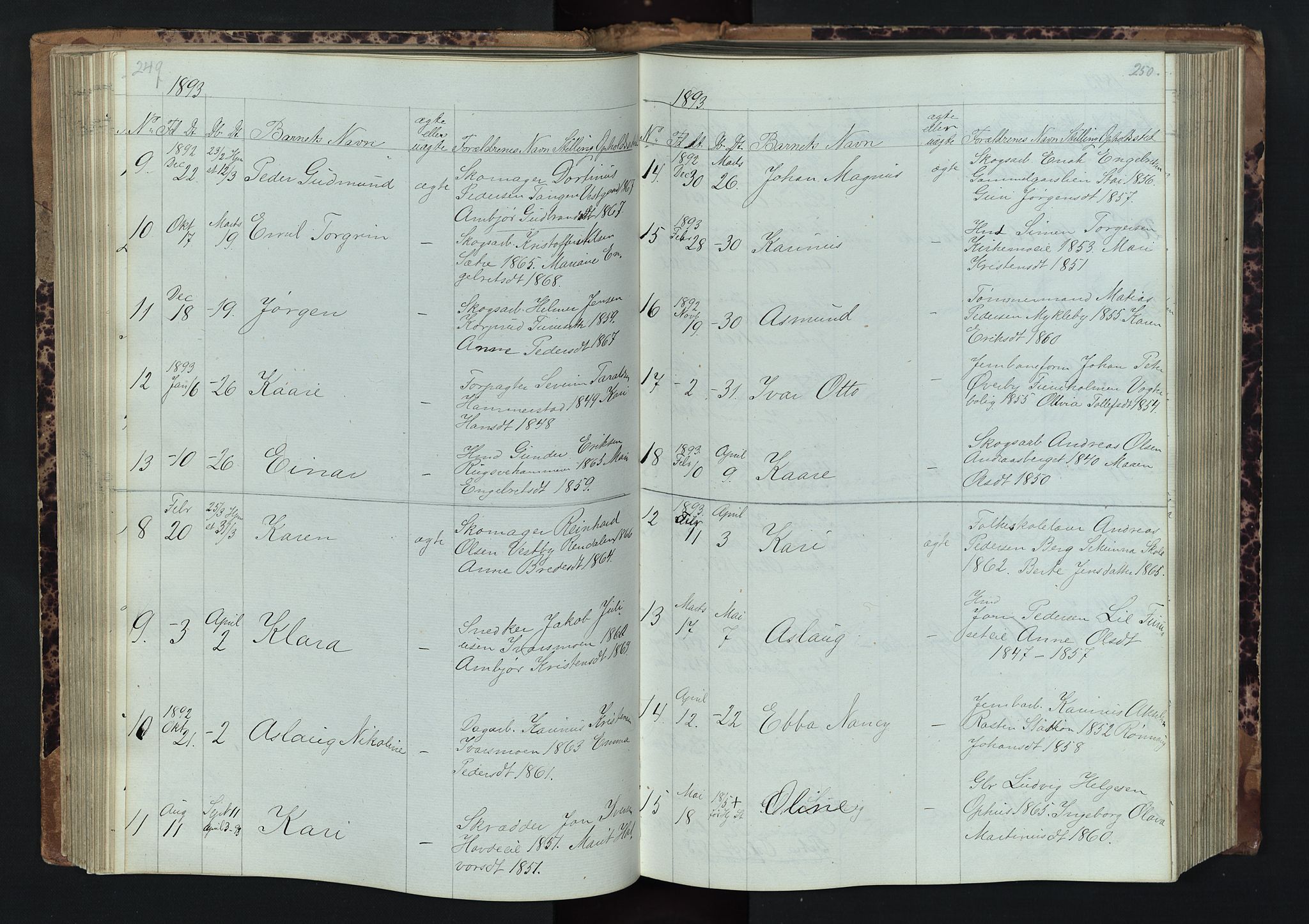 Stor-Elvdal prestekontor, SAH/PREST-052/H/Ha/Hab/L0001: Parish register (copy) no. 1 /1, 1860-1894, p. 249-250
