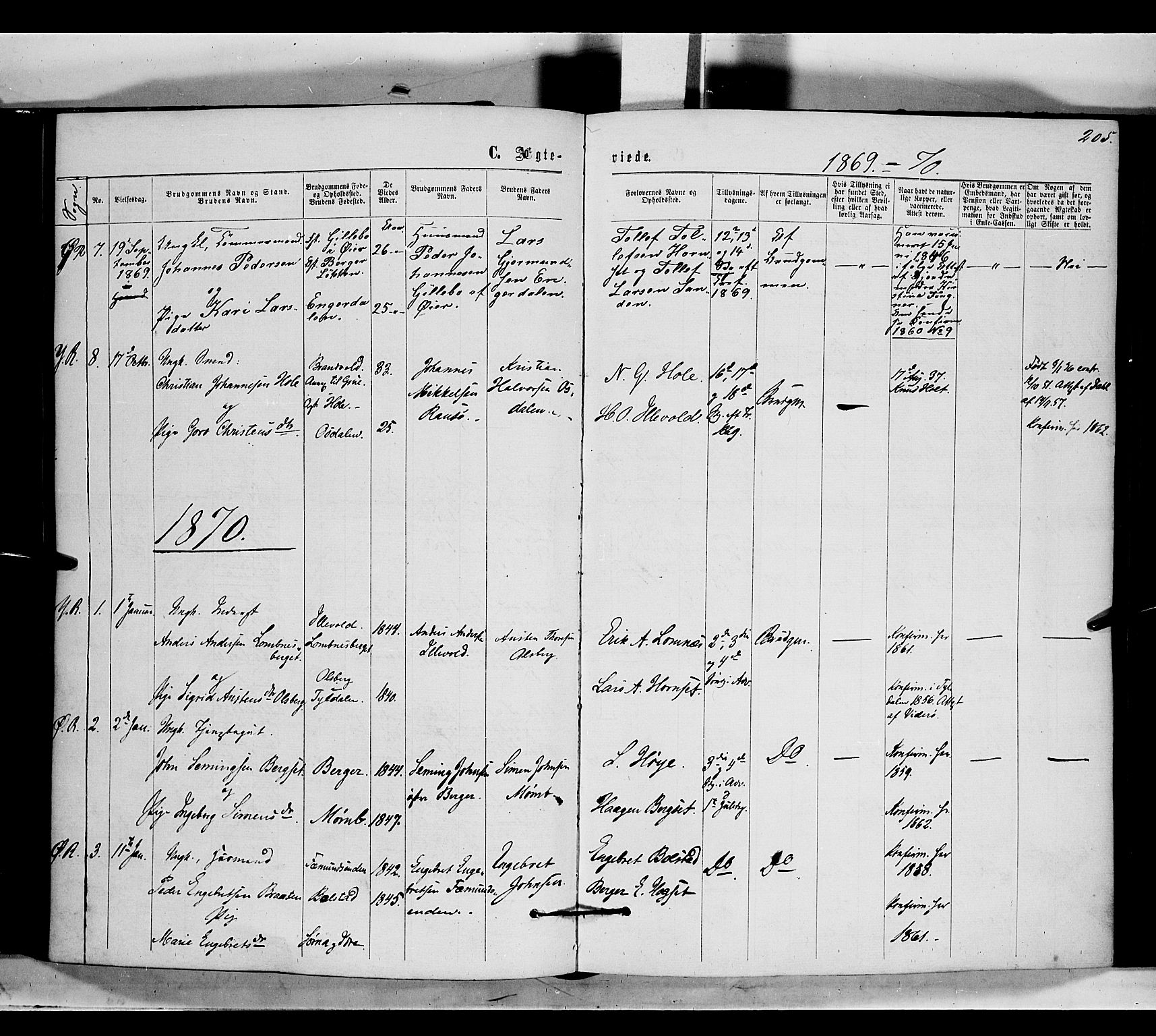 Rendalen prestekontor, SAH/PREST-054/H/Ha/Haa/L0006: Parish register (official) no. 6, 1867-1877, p. 205