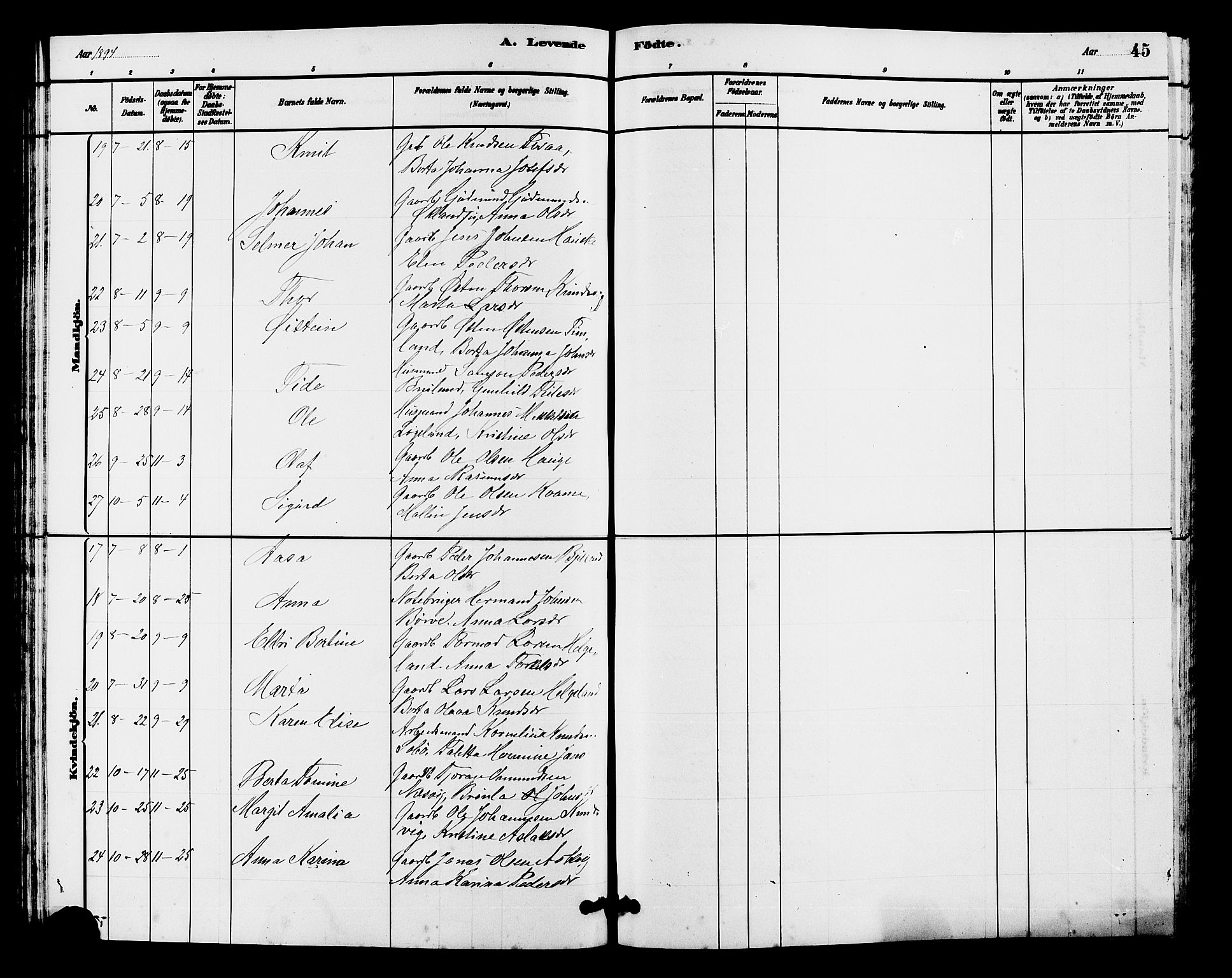 Hjelmeland sokneprestkontor, AV/SAST-A-101843/01/V/L0007: Parish register (copy) no. B 7, 1880-1909, p. 45