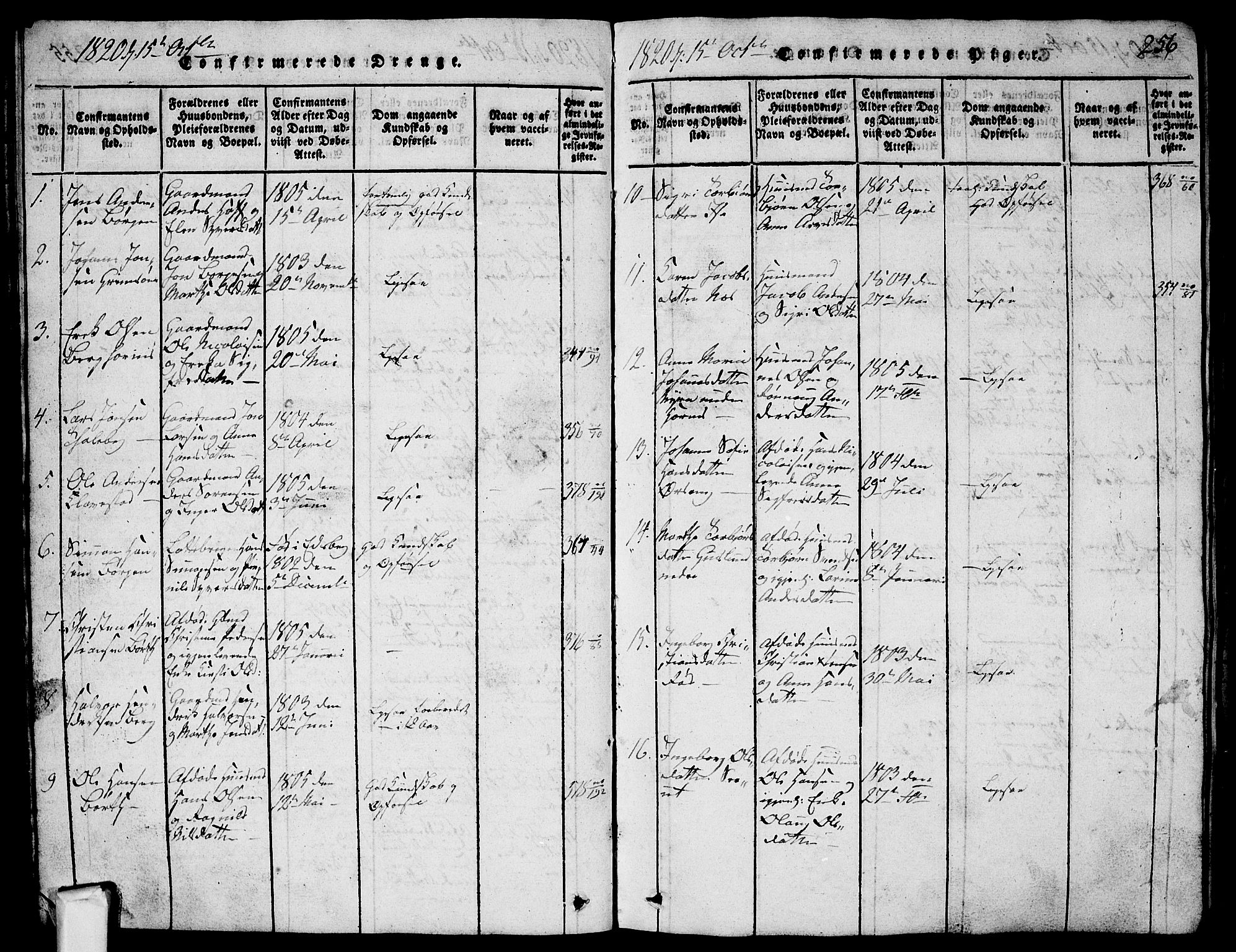 Skjeberg prestekontor Kirkebøker, SAO/A-10923/G/Ga/L0001: Parish register (copy) no. I 1, 1815-1830, p. 256