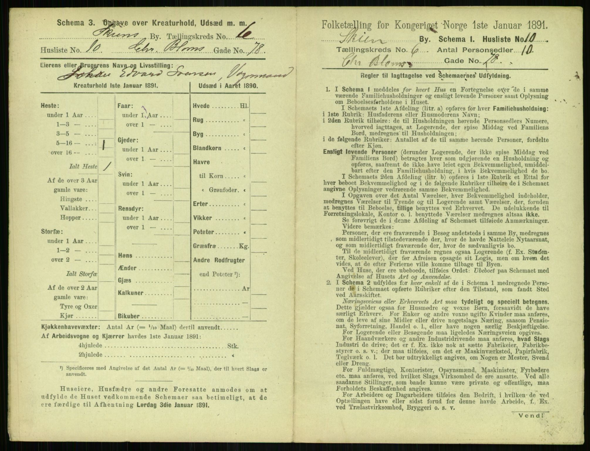 RA, 1891 census for 0806 Skien, 1891, p. 298