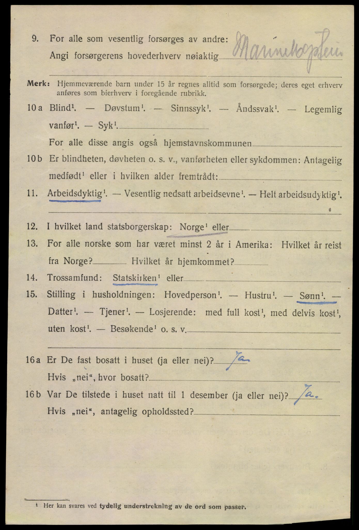 SAKO, 1920 census for Horten, 1920, p. 10210