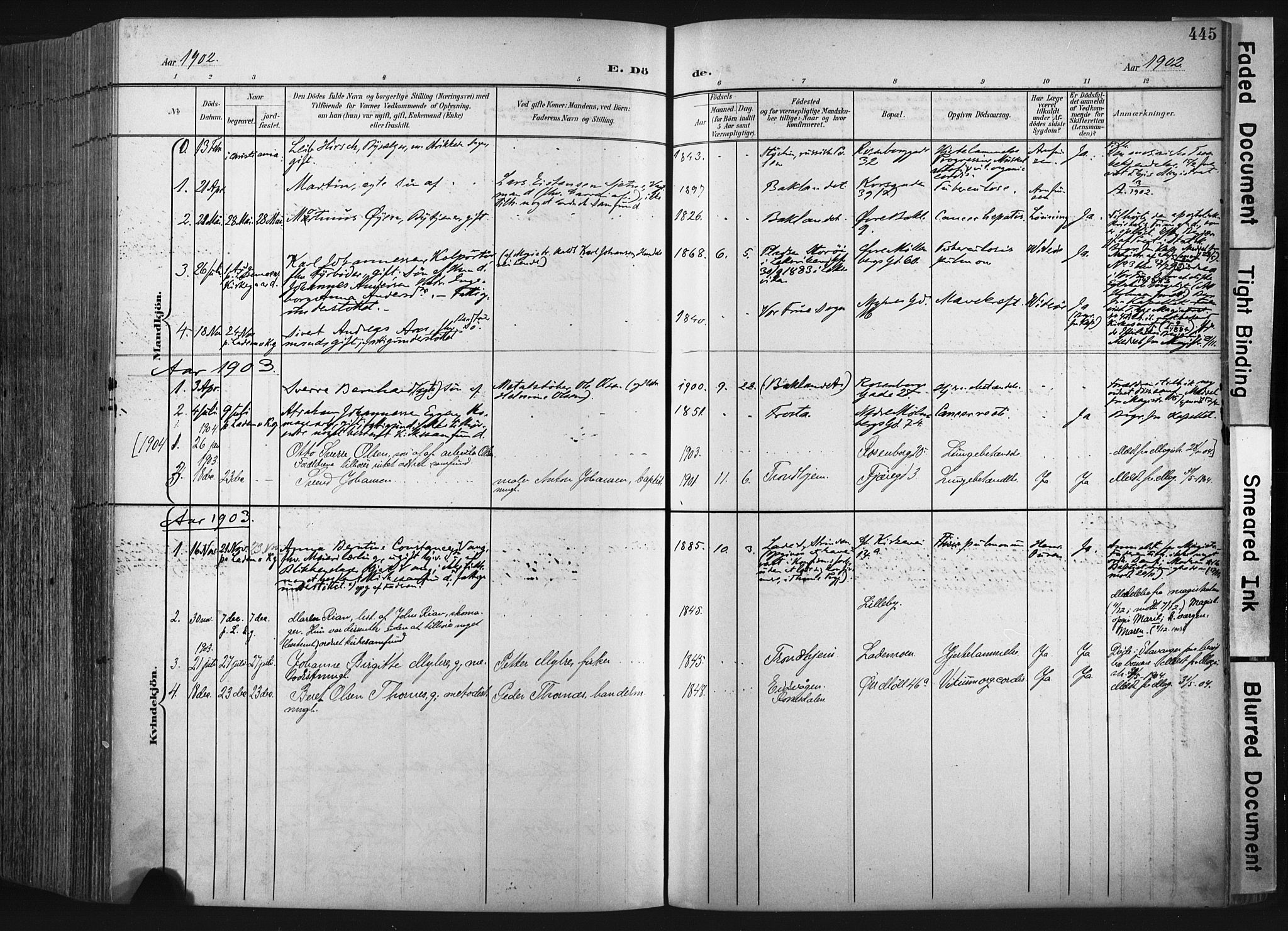Ministerialprotokoller, klokkerbøker og fødselsregistre - Sør-Trøndelag, SAT/A-1456/604/L0201: Parish register (official) no. 604A21, 1901-1911, p. 445