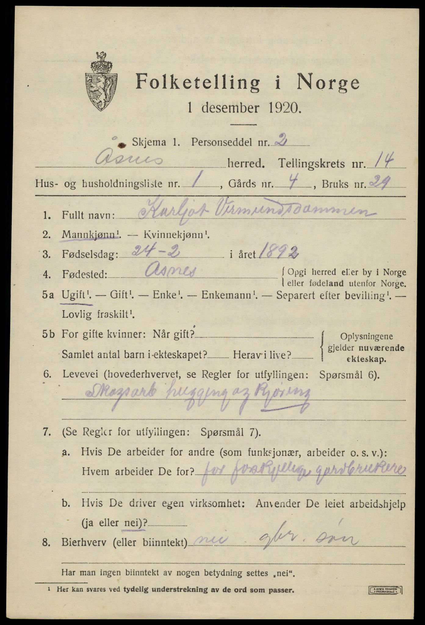 SAH, 1920 census for Åsnes, 1920, p. 13346