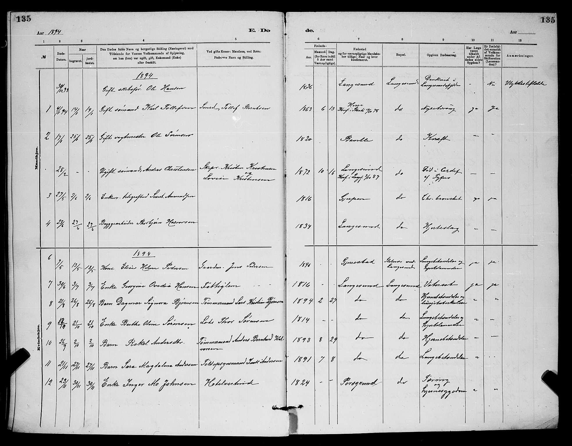 Langesund kirkebøker, SAKO/A-280/G/Ga/L0005: Parish register (copy) no. 5, 1884-1898, p. 135