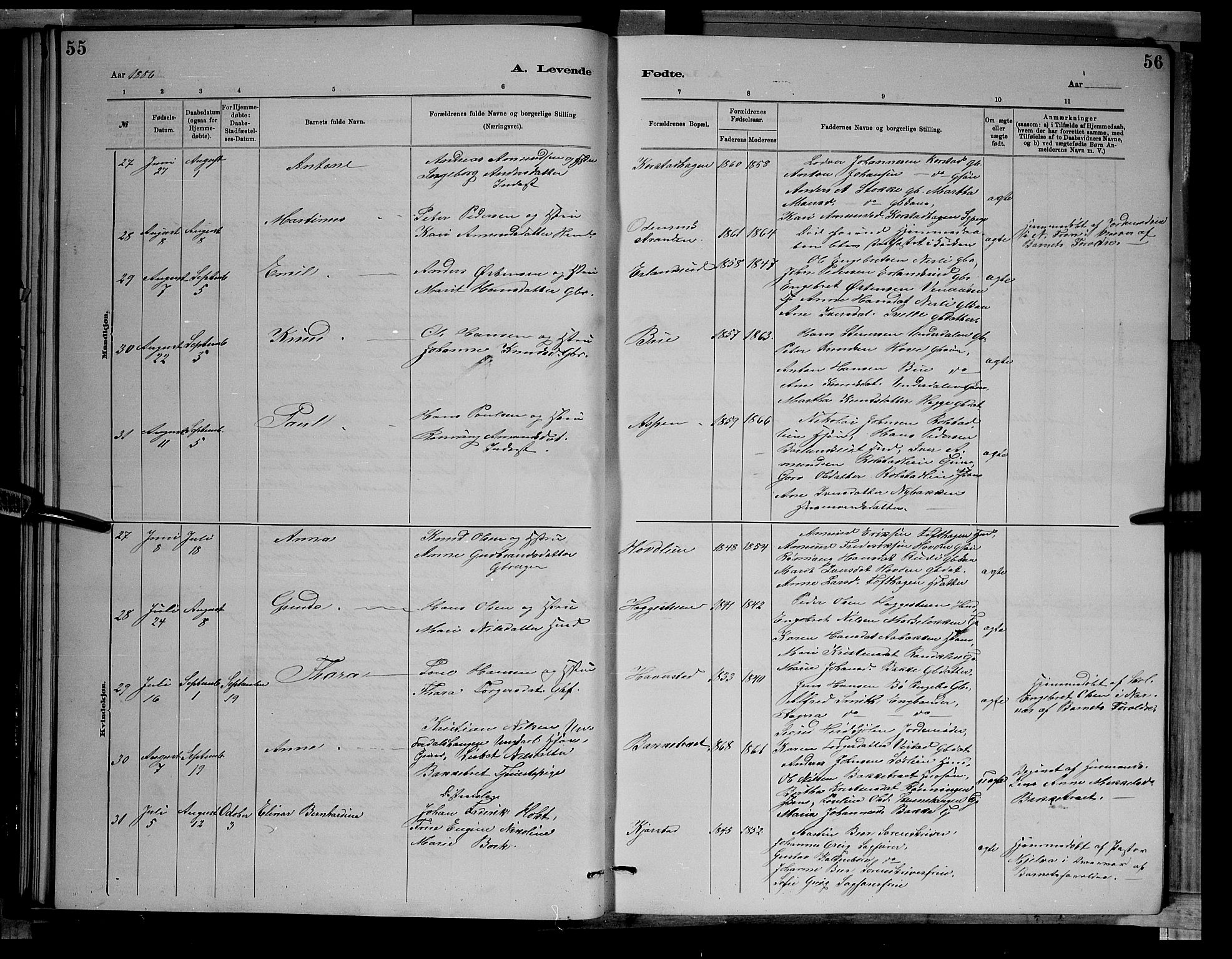 Sør-Fron prestekontor, AV/SAH-PREST-010/H/Ha/Hab/L0003: Parish register (copy) no. 3, 1884-1896, p. 55-56