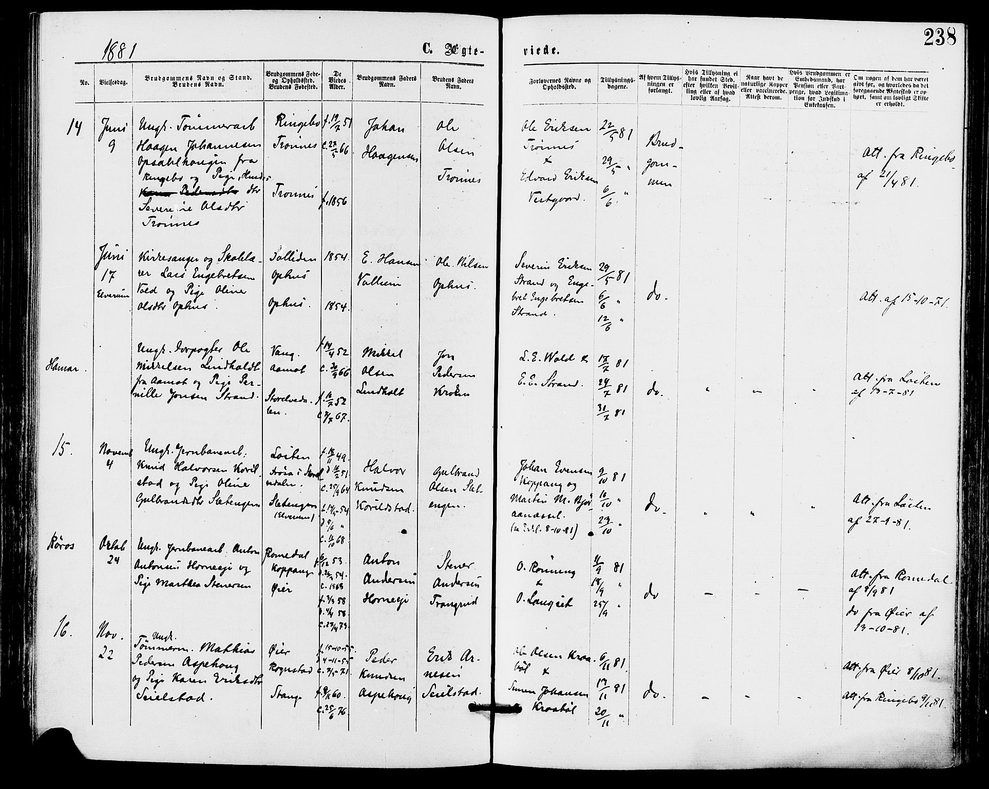 Stor-Elvdal prestekontor, AV/SAH-PREST-052/H/Ha/Haa/L0001: Parish register (official) no. 1, 1871-1882, p. 238