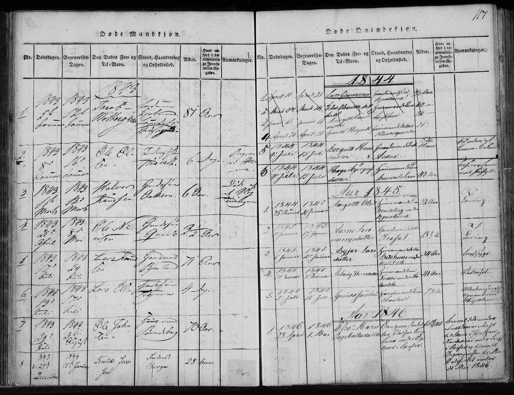 Lårdal kirkebøker, SAKO/A-284/F/Fa/L0005: Parish register (official) no. I 5, 1815-1860, p. 117