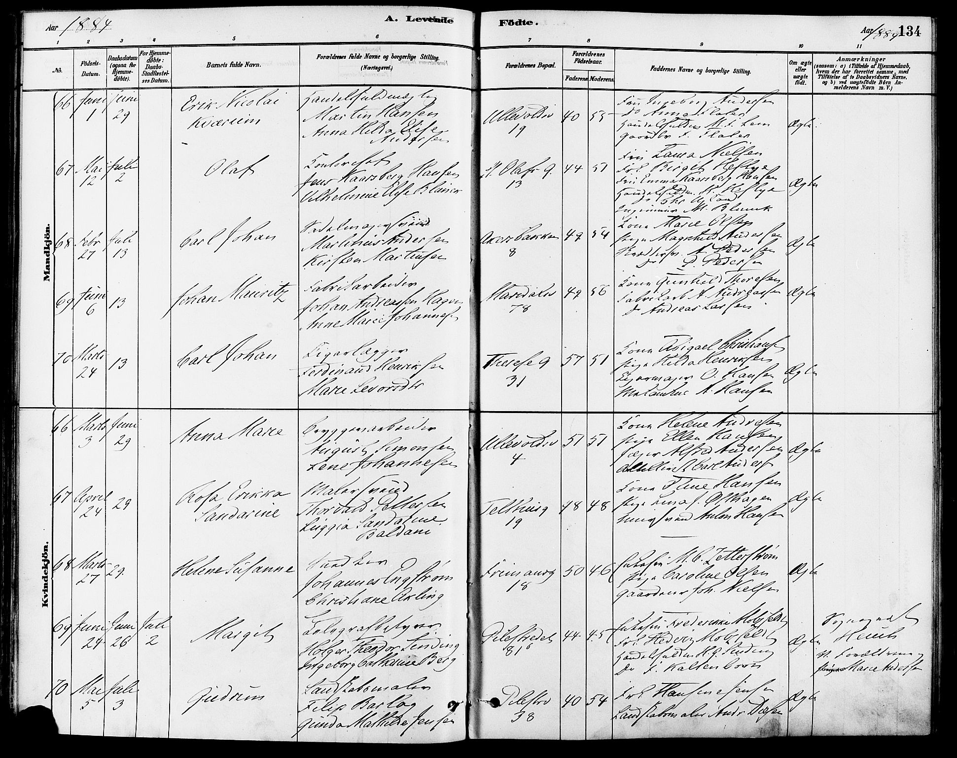 Gamle Aker prestekontor Kirkebøker, SAO/A-10617a/F/L0006: Parish register (official) no. 6, 1880-1887, p. 134