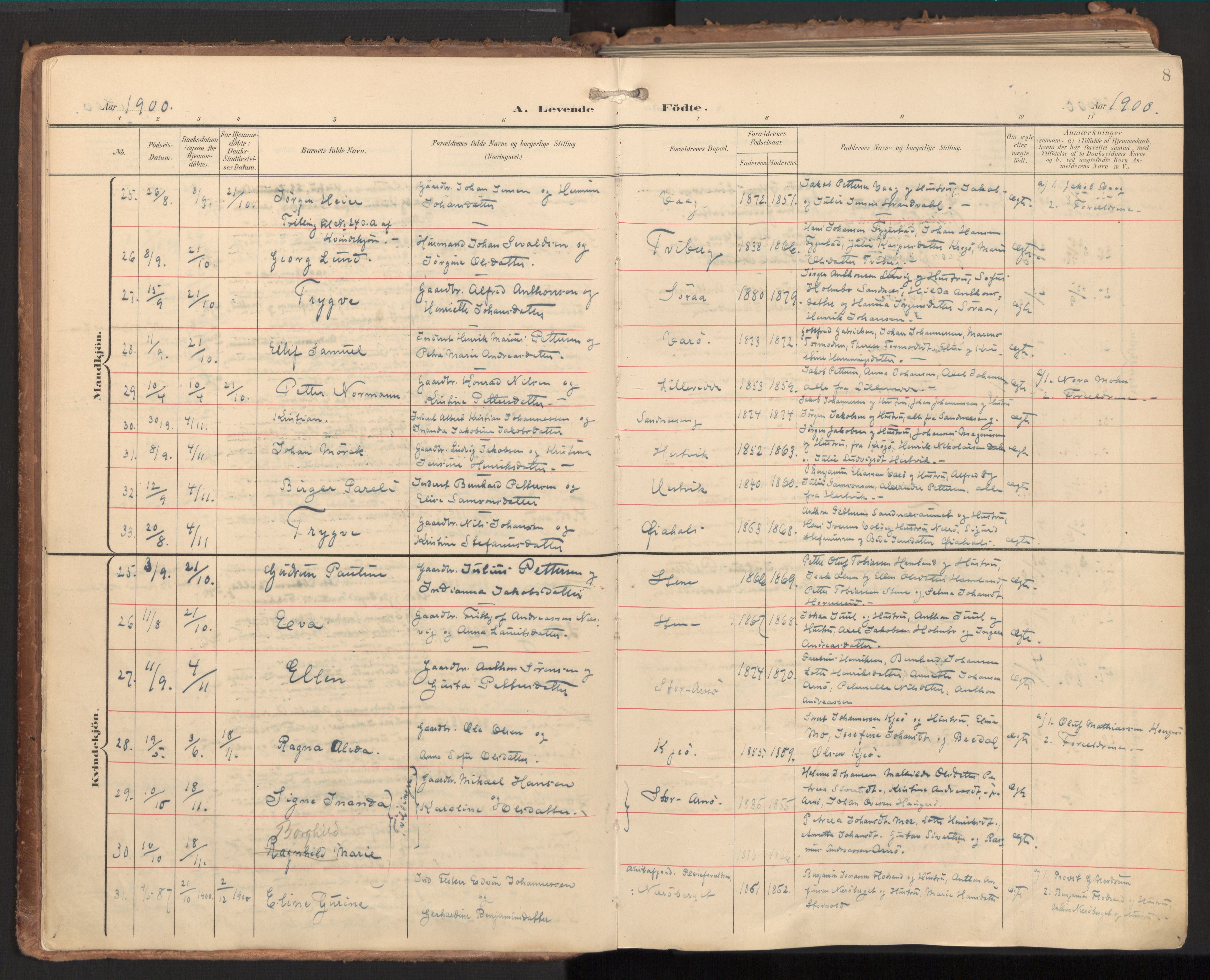 Ministerialprotokoller, klokkerbøker og fødselsregistre - Nord-Trøndelag, AV/SAT-A-1458/784/L0677: Parish register (official) no. 784A12, 1900-1920, p. 8