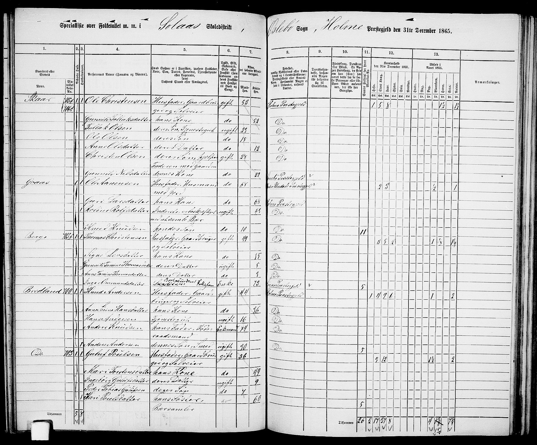 RA, 1865 census for Holum, 1865, p. 124