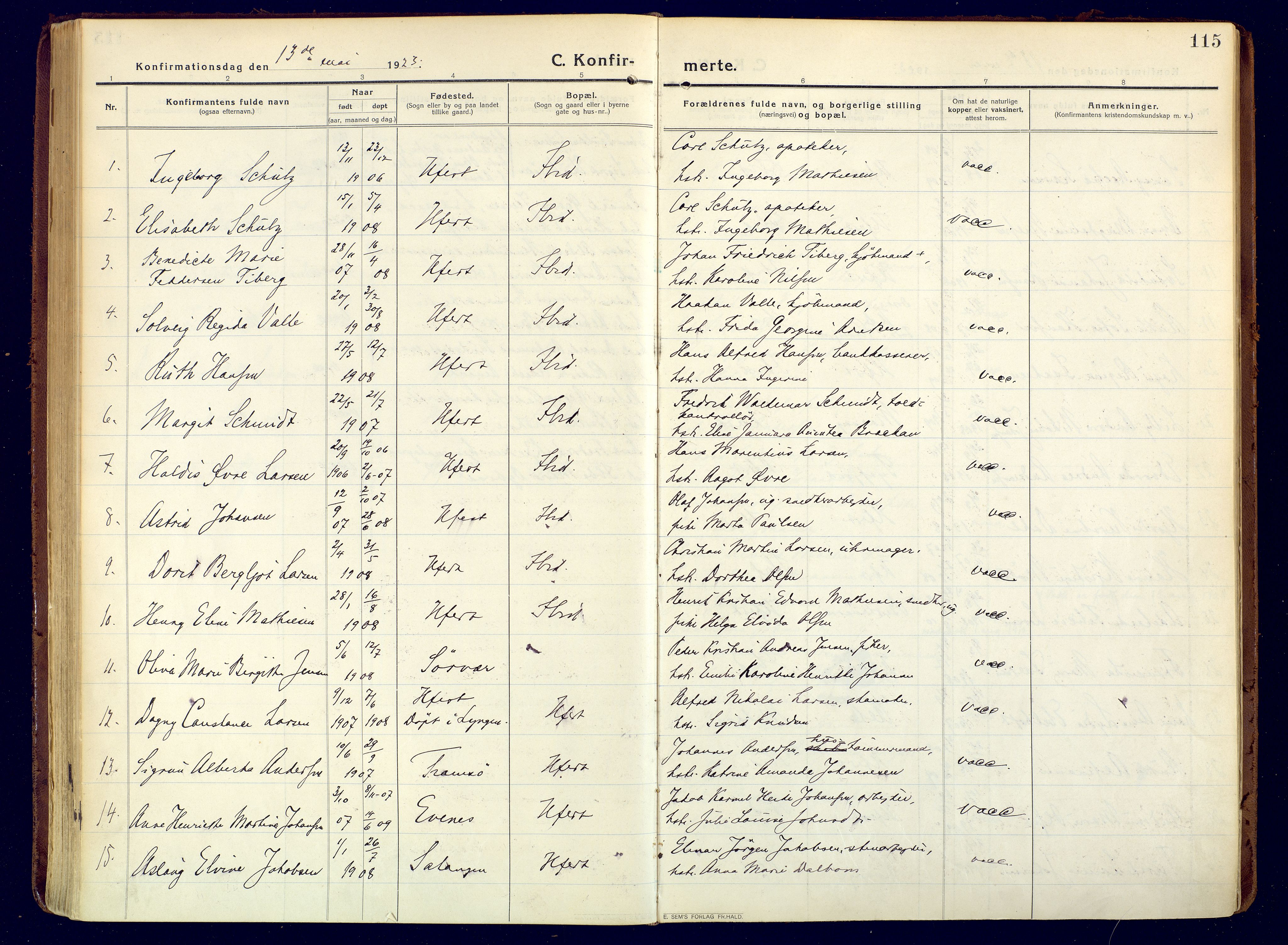 Hammerfest sokneprestkontor, SATØ/S-1347/H/Ha/L0015.kirke: Parish register (official) no. 15, 1916-1923, p. 115