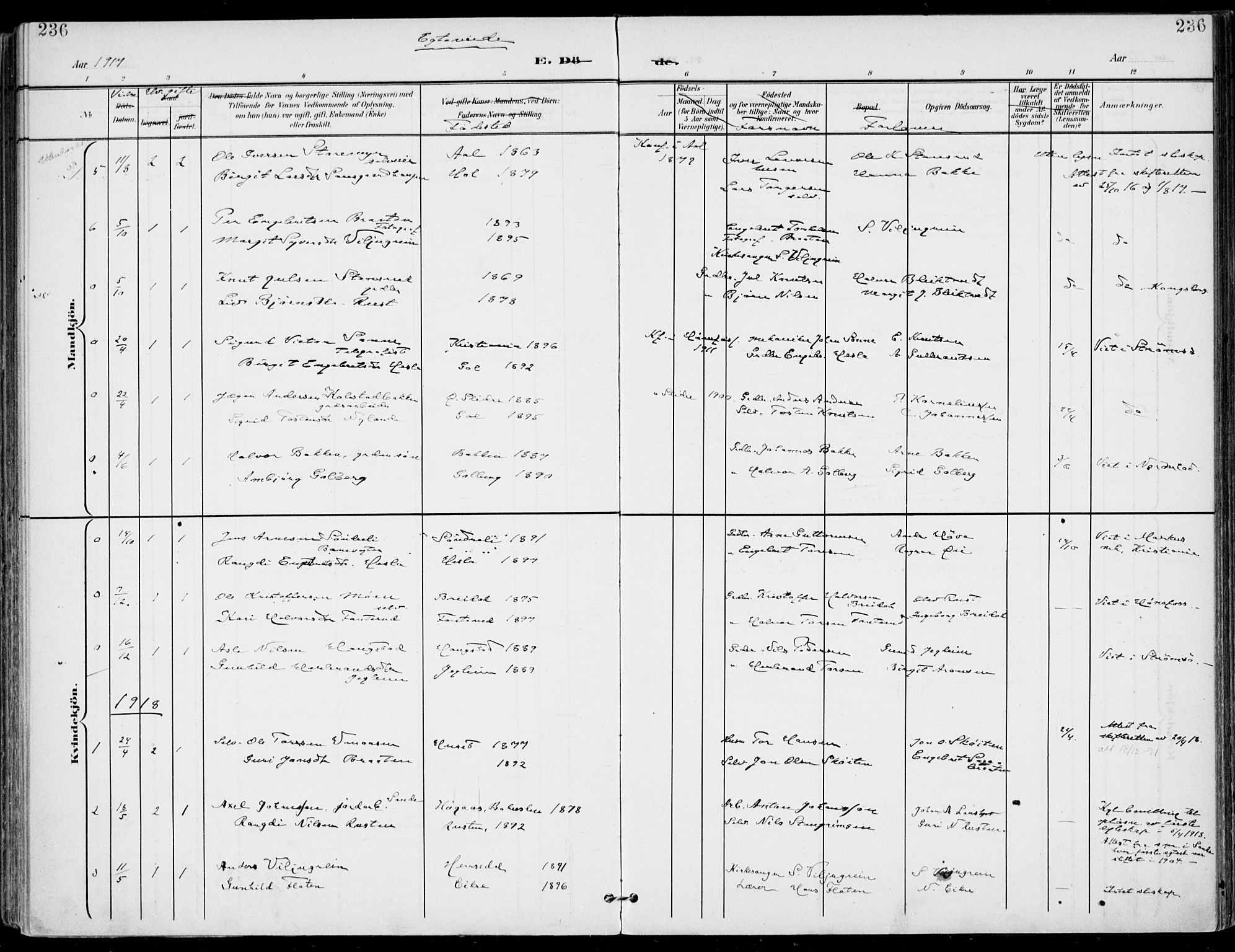 Gol kirkebøker, SAKO/A-226/F/Fa/L0006: Parish register (official) no. I 6, 1901-1918, p. 236