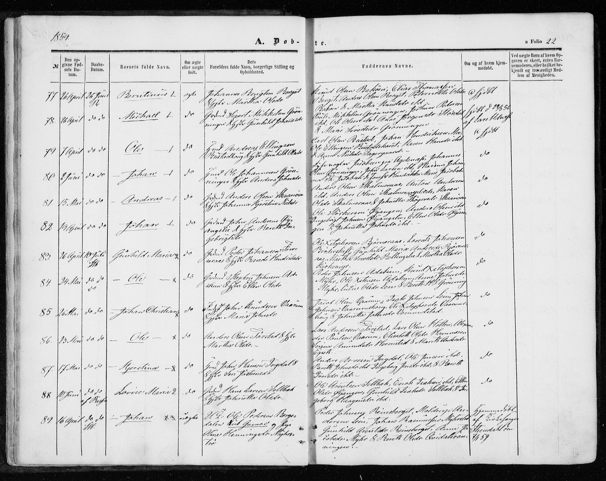 Ministerialprotokoller, klokkerbøker og fødselsregistre - Sør-Trøndelag, SAT/A-1456/646/L0612: Parish register (official) no. 646A10, 1858-1869, p. 22