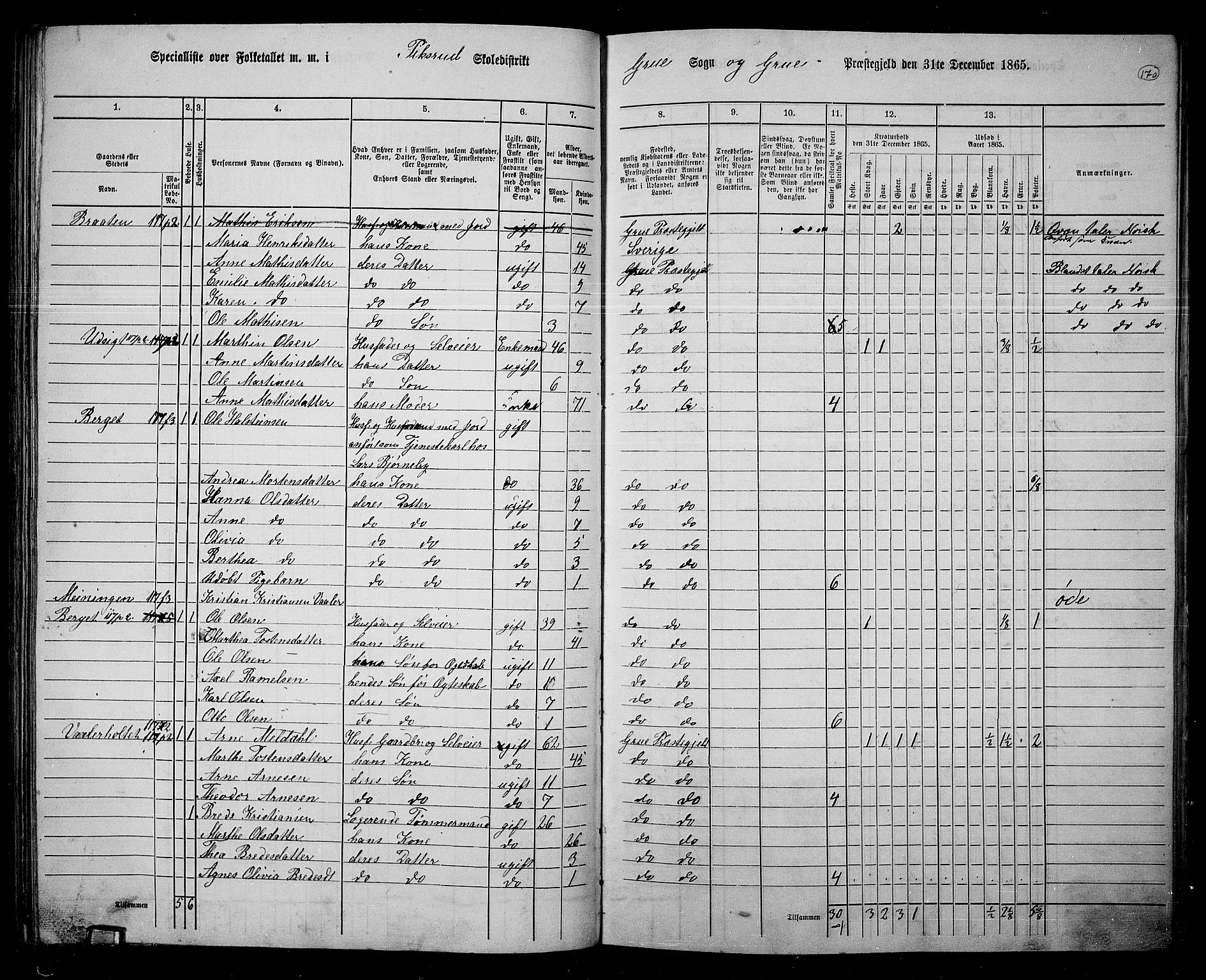 RA, 1865 census for Grue, 1865, p. 149