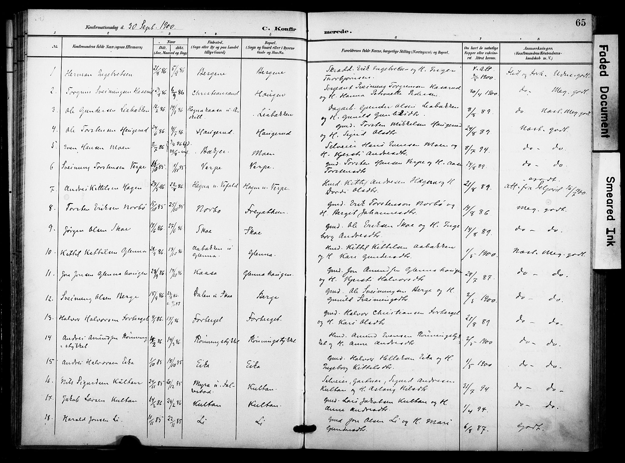 Bø kirkebøker, SAKO/A-257/F/Fa/L0012: Parish register (official) no. 12, 1900-1908, p. 65