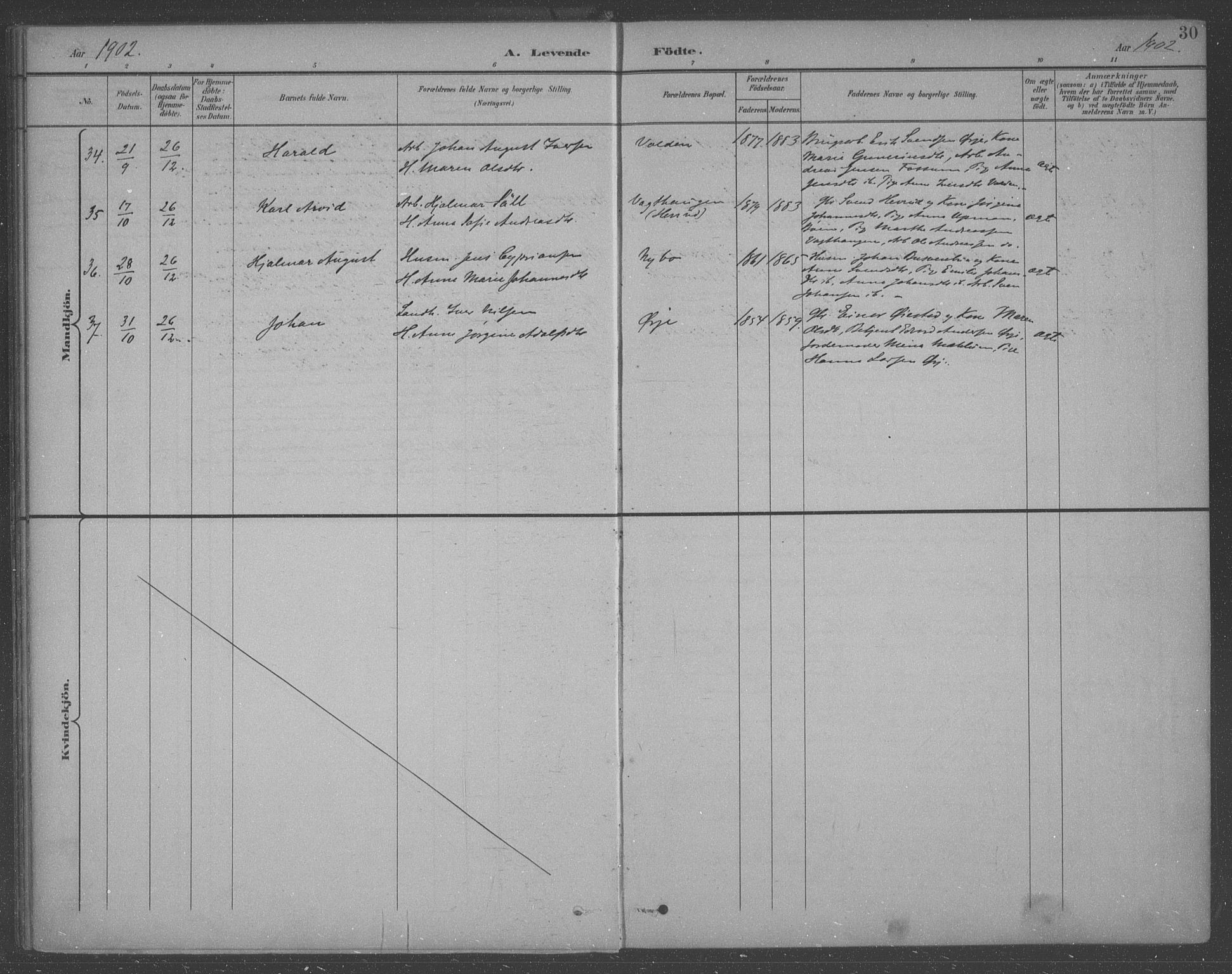Aremark prestekontor Kirkebøker, SAO/A-10899/F/Fb/L0005: Parish register (official) no. II 5, 1895-1919, p. 30
