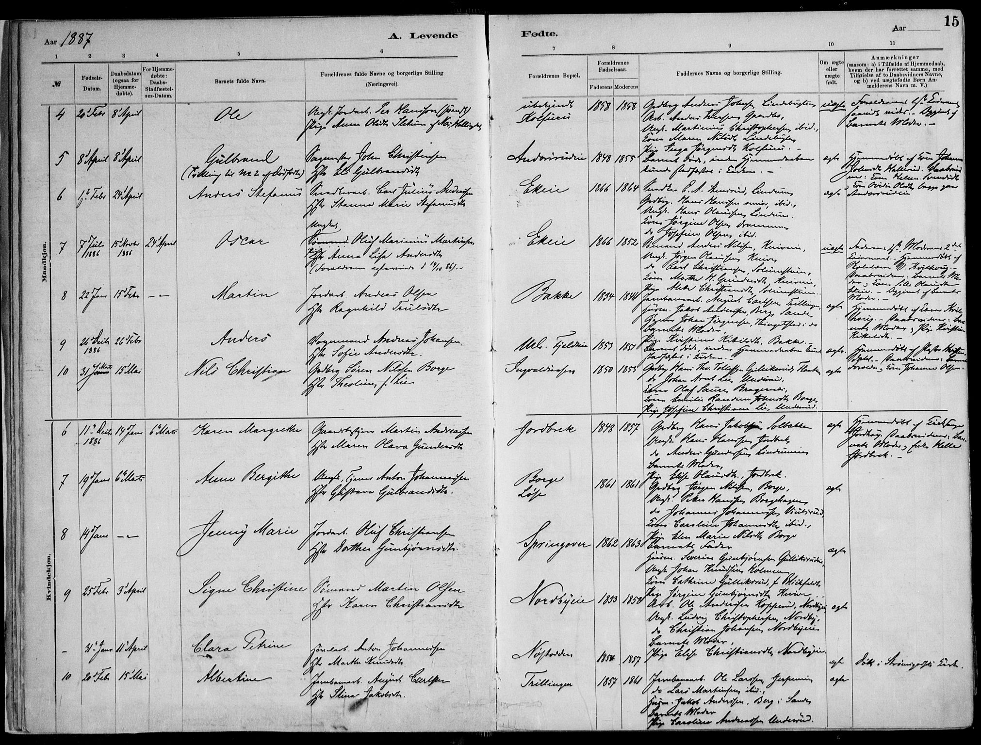 Skoger kirkebøker, AV/SAKO-A-59/F/Fa/L0006: Parish register (official) no. I 6, 1885-1910, p. 15