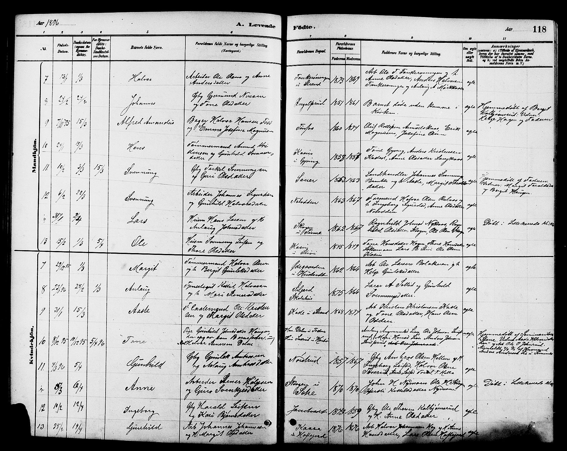 Heddal kirkebøker, SAKO/A-268/G/Ga/L0002: Parish register (copy) no. I 2, 1879-1908, p. 118