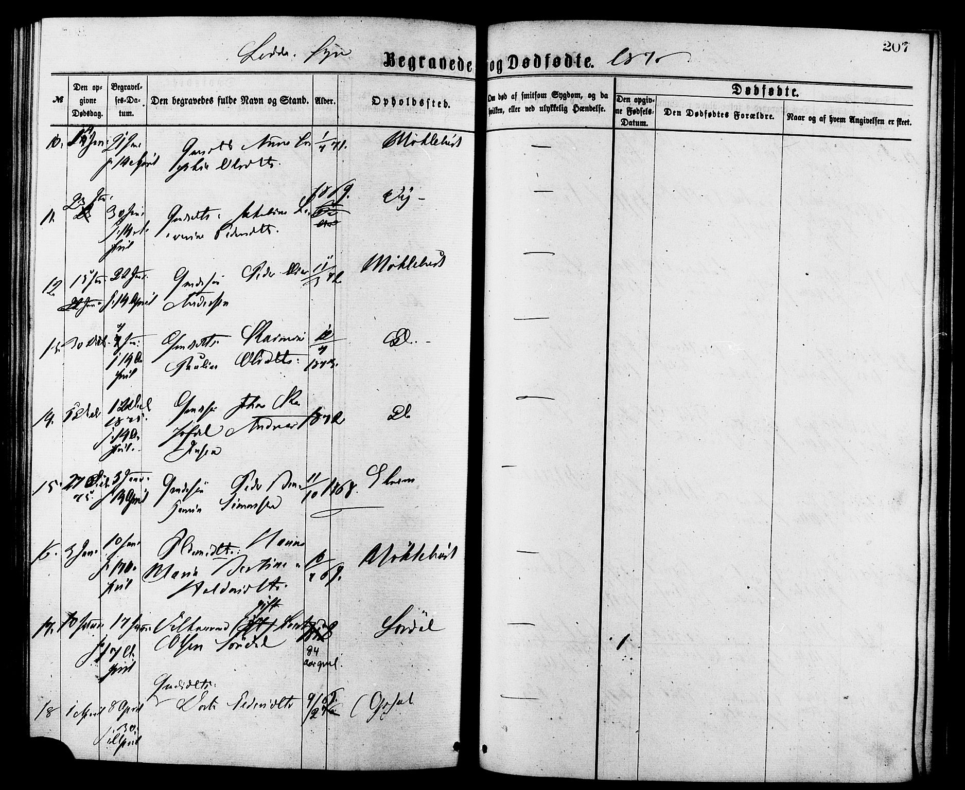 Ministerialprotokoller, klokkerbøker og fødselsregistre - Møre og Romsdal, AV/SAT-A-1454/502/L0024: Parish register (official) no. 502A02, 1873-1884, p. 207