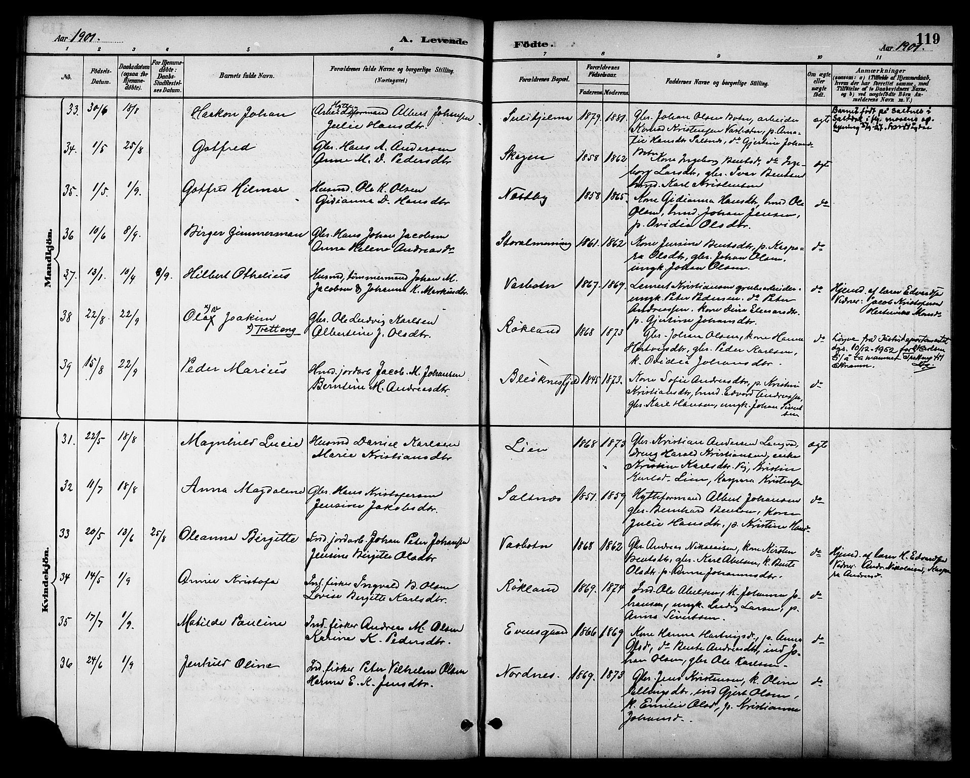 Ministerialprotokoller, klokkerbøker og fødselsregistre - Nordland, SAT/A-1459/847/L0669: Parish register (official) no. 847A09, 1887-1901, p. 119