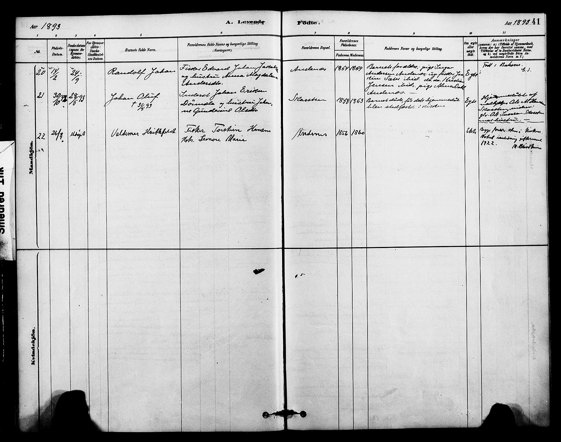 Ministerialprotokoller, klokkerbøker og fødselsregistre - Nordland, AV/SAT-A-1459/899/L1436: Parish register (official) no. 899A04, 1881-1896, p. 41