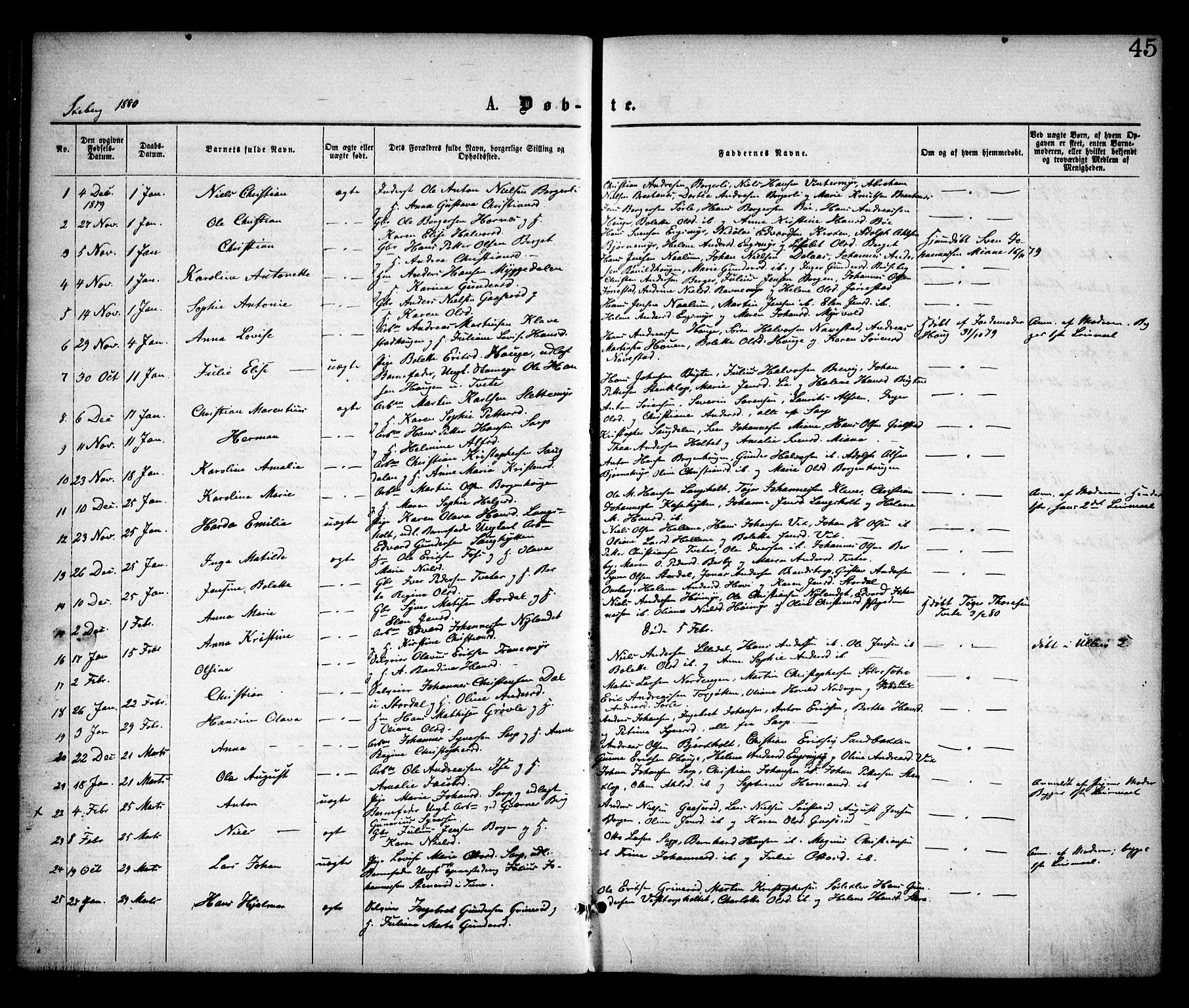 Skjeberg prestekontor Kirkebøker, SAO/A-10923/F/Fa/L0008: Parish register (official) no. I 8, 1869-1885, p. 45