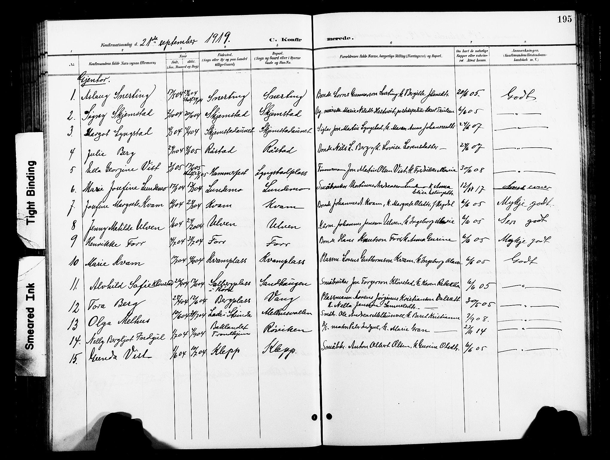 Ministerialprotokoller, klokkerbøker og fødselsregistre - Nord-Trøndelag, AV/SAT-A-1458/730/L0302: Parish register (copy) no. 730C05, 1898-1924, p. 195