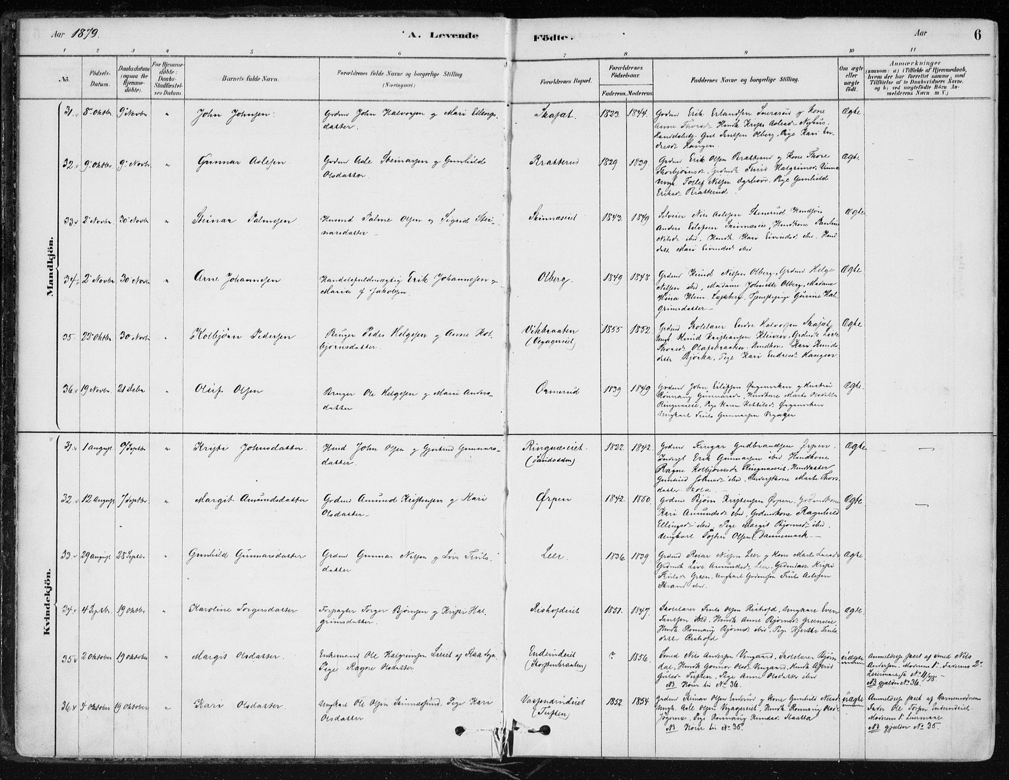 Krødsherad kirkebøker, SAKO/A-19/F/Fa/L0005: Parish register (official) no. 5, 1879-1888, p. 6