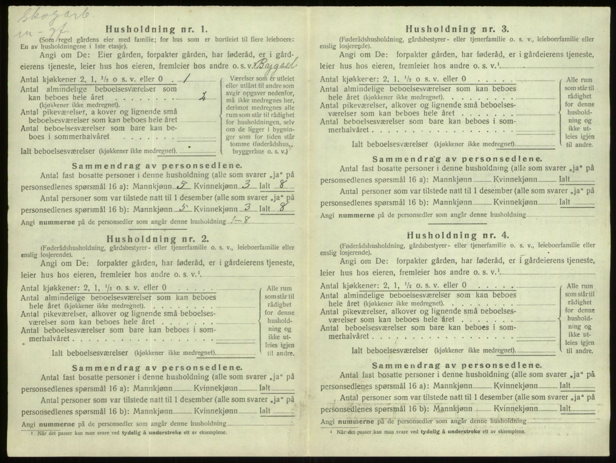 SAB, 1920 census for Hornindal, 1920, p. 480