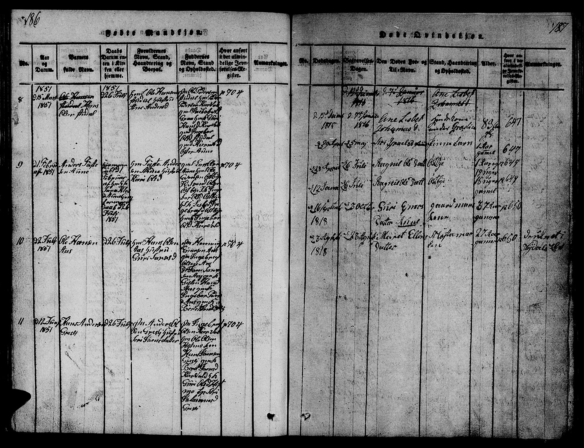 Ministerialprotokoller, klokkerbøker og fødselsregistre - Sør-Trøndelag, SAT/A-1456/698/L1164: Parish register (copy) no. 698C01, 1816-1861, p. 186-187